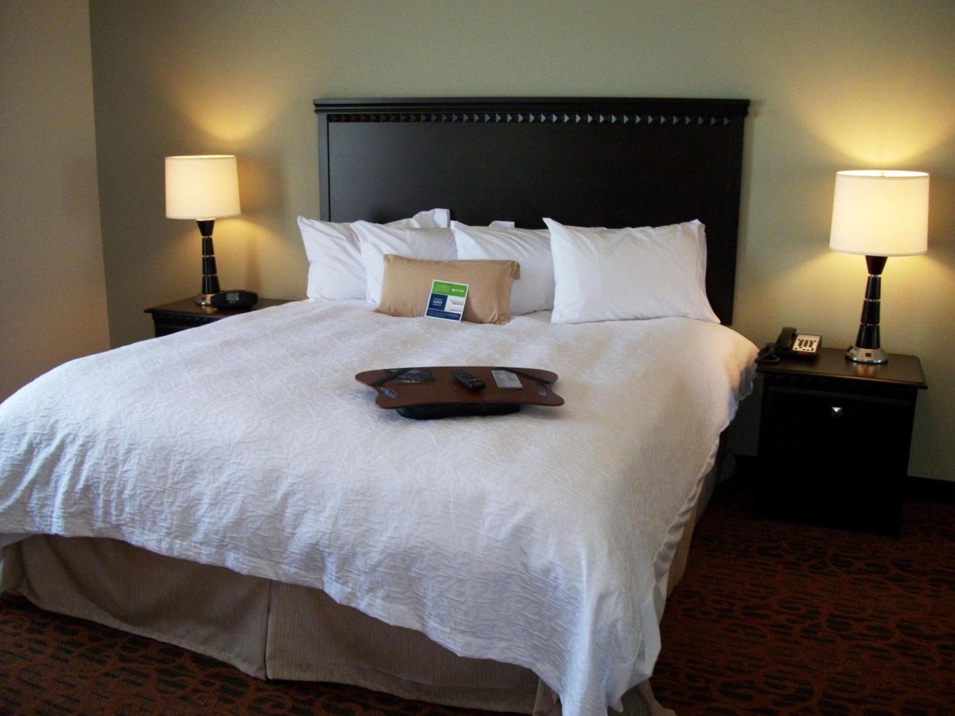 Hampton Inn Pecos photo 16