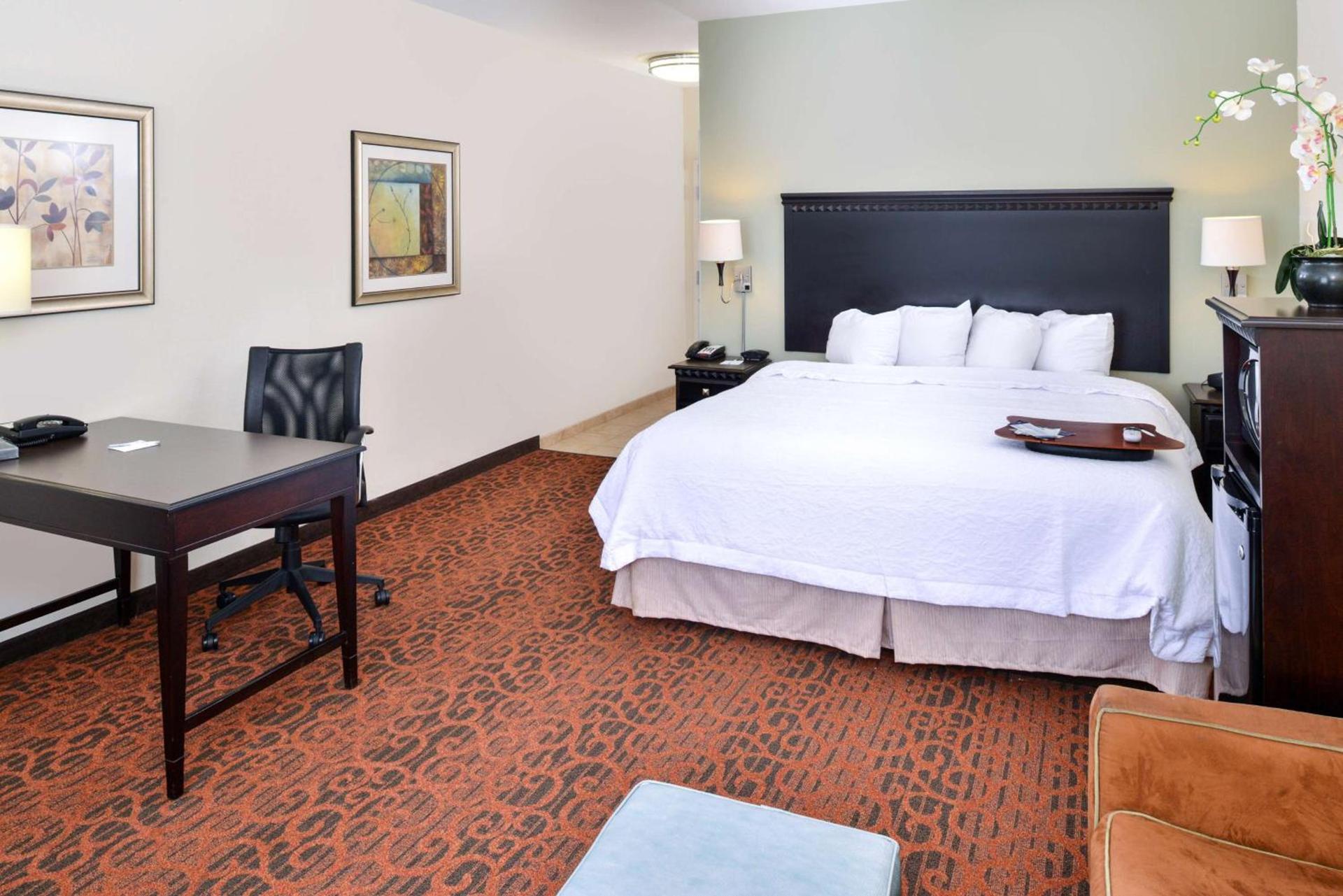 Hampton Inn Pecos photo 30