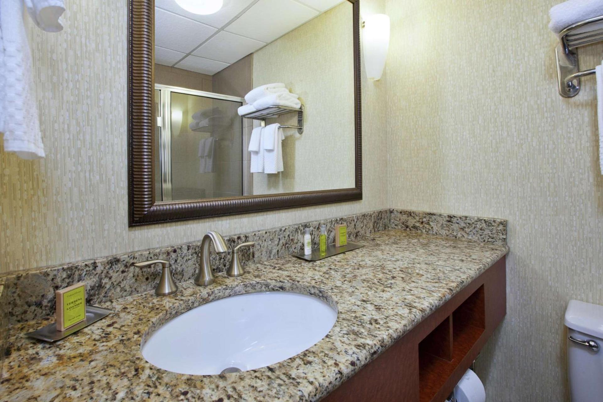 DoubleTree by Hilton Holland photo 21