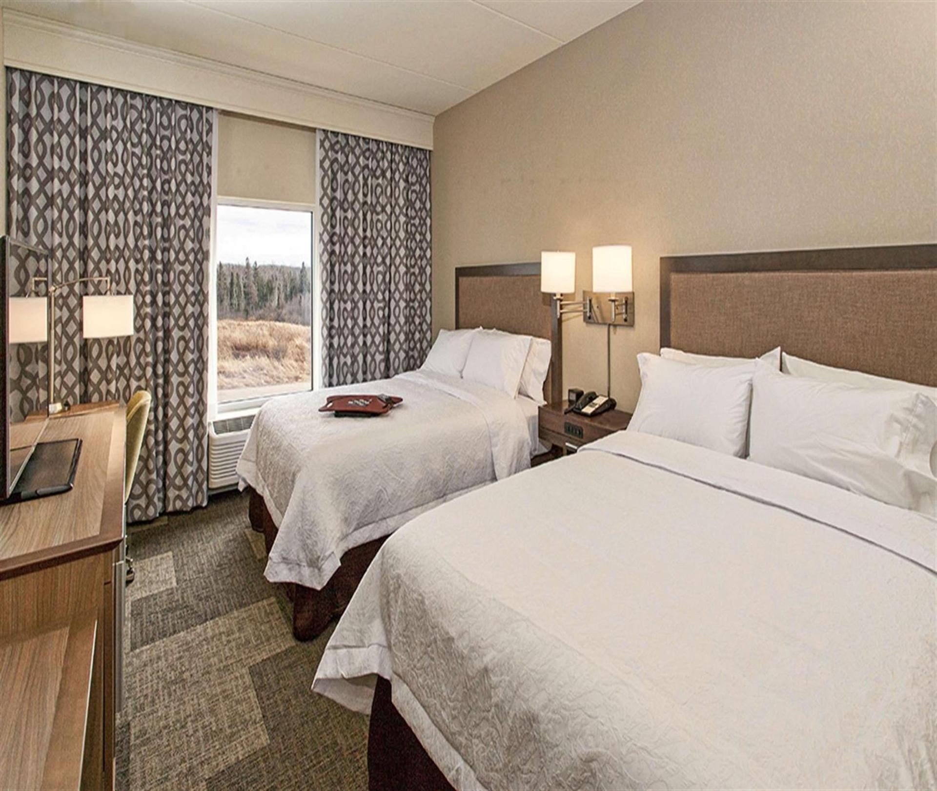 Hampton Inn Hibbing photo 22