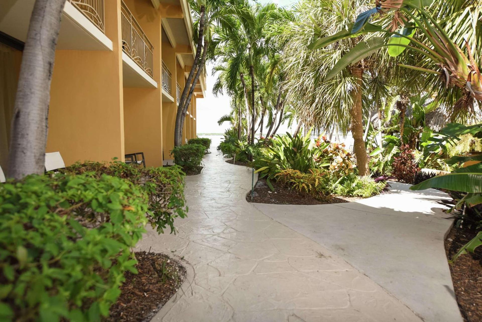 Hampton Inn Key Largo photo 5