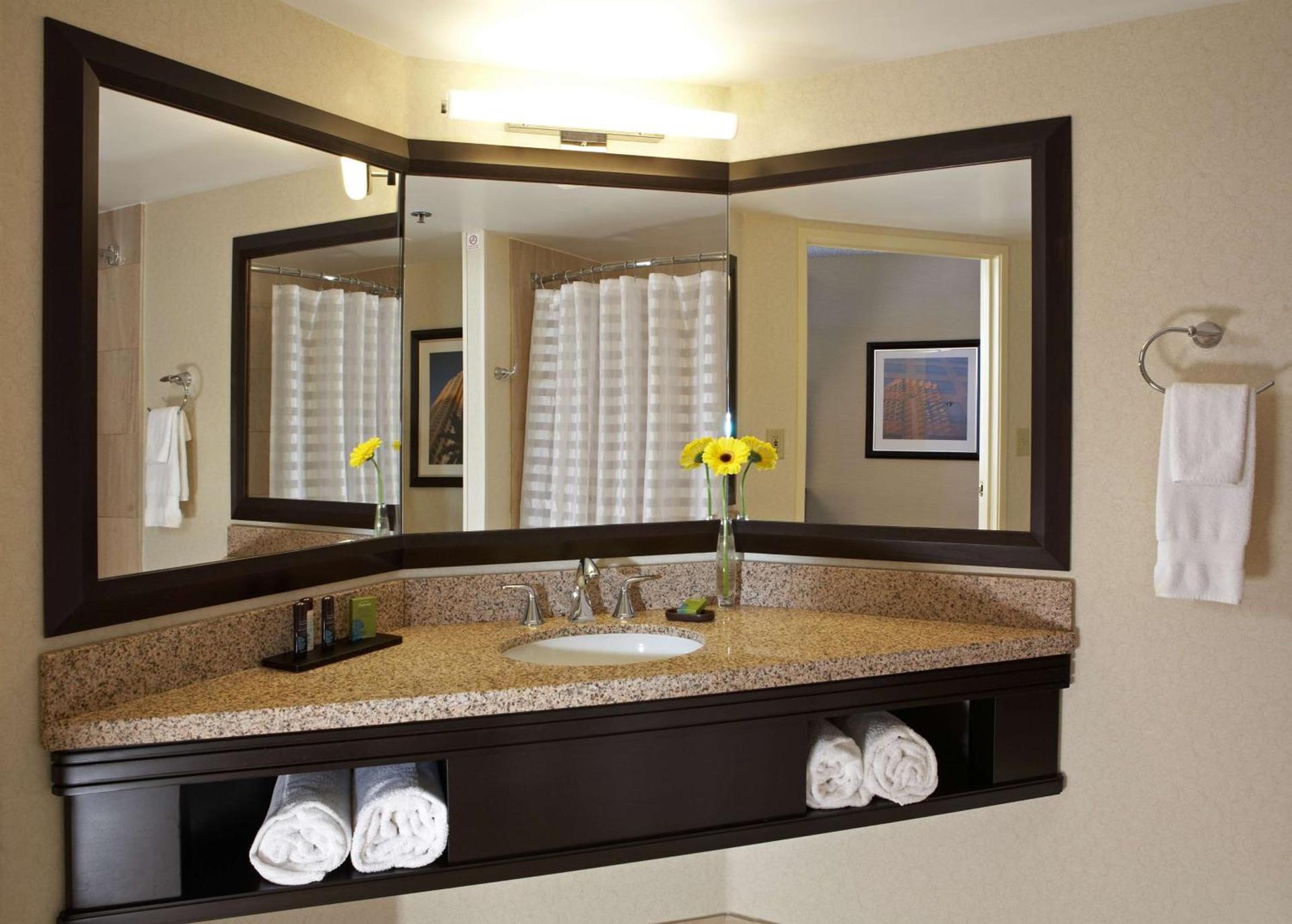 Embassy Suites Los Angeles - International Airport/North photo 35