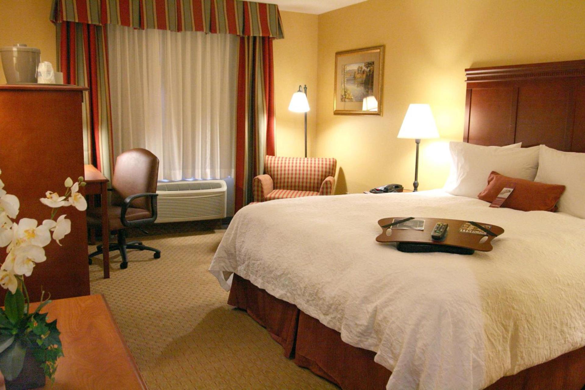 Hampton Inn & Suites Los Angeles Burbank Airport photo 25