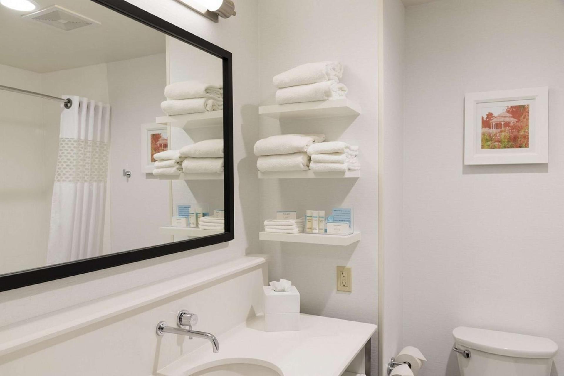 Hampton Inn Mount Pleasant photo 18