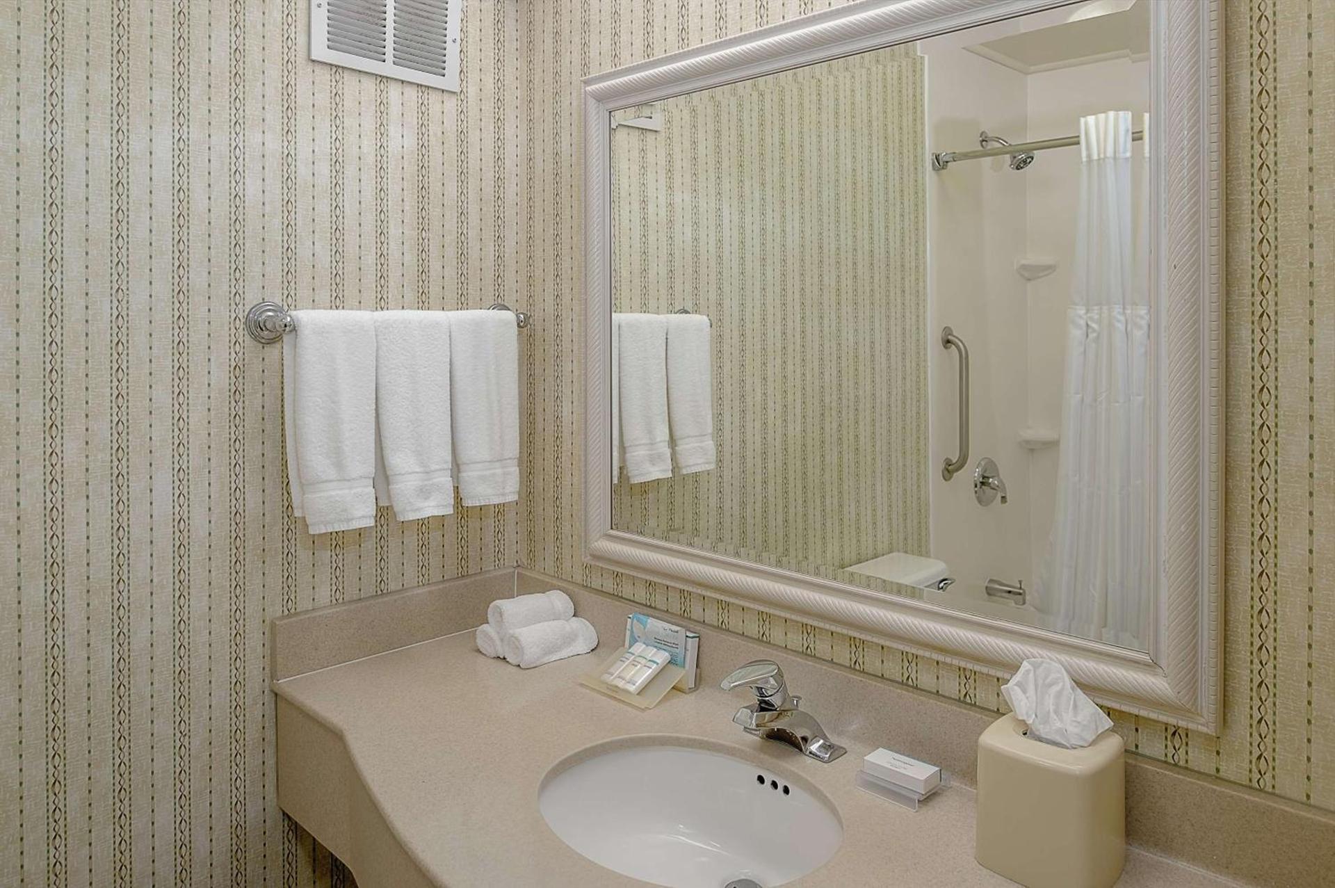 Hilton Garden Inn St. Louis/Chesterfield photo 17