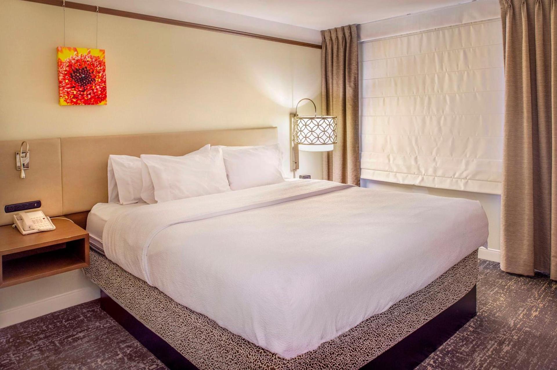 Hilton Garden Inn St. Louis/Chesterfield photo 20