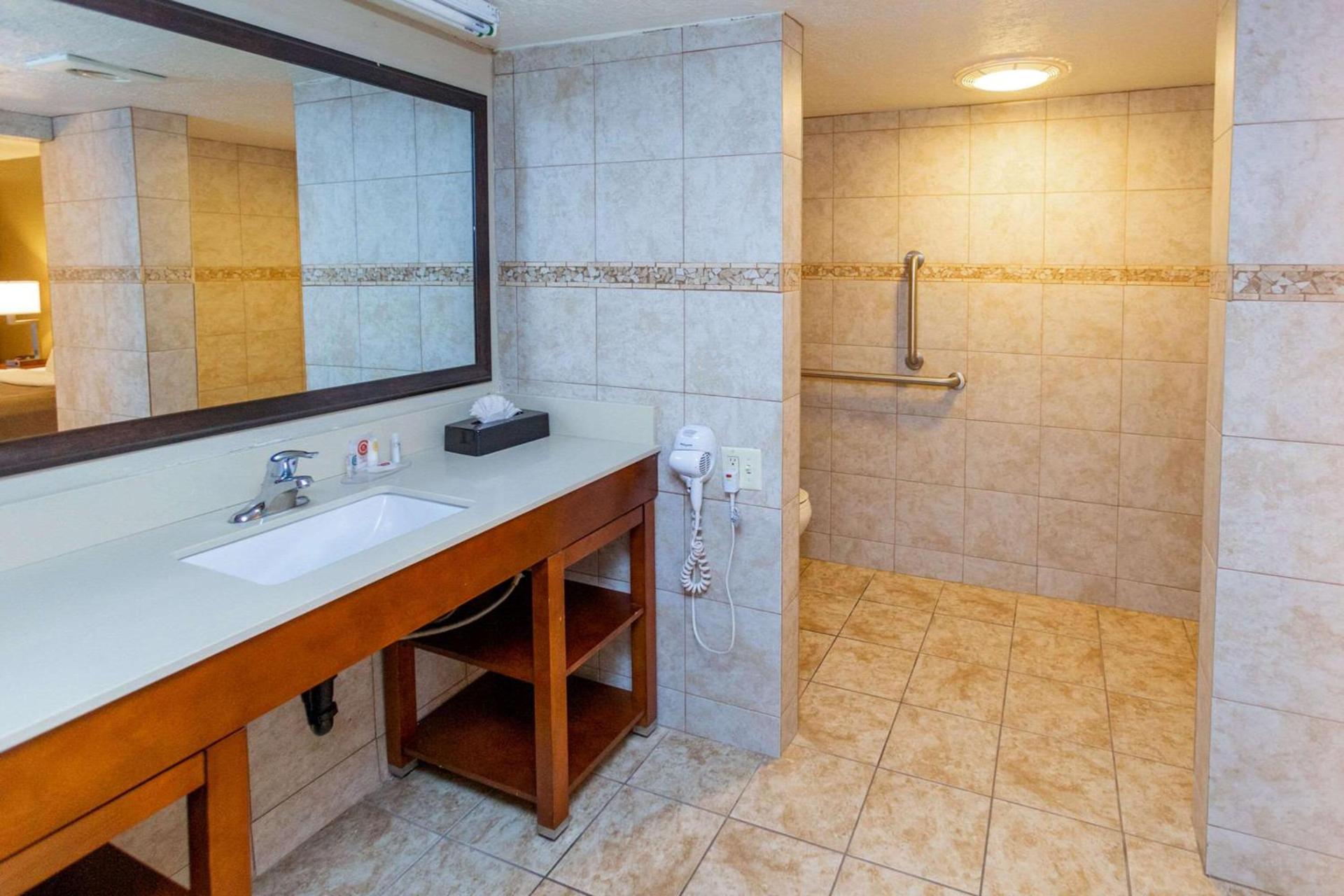 Comfort Inn Salt Lake City Downtown photo 8