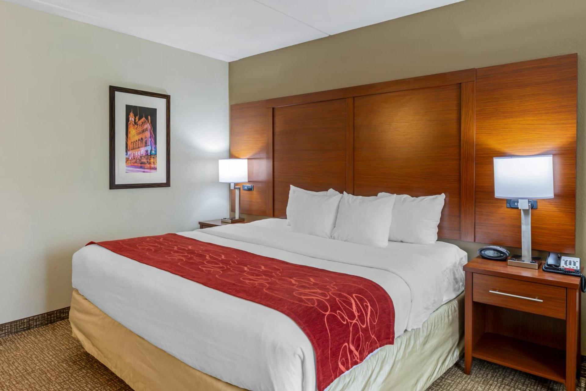 Comfort Suites At Virginia Center Commons photo 55