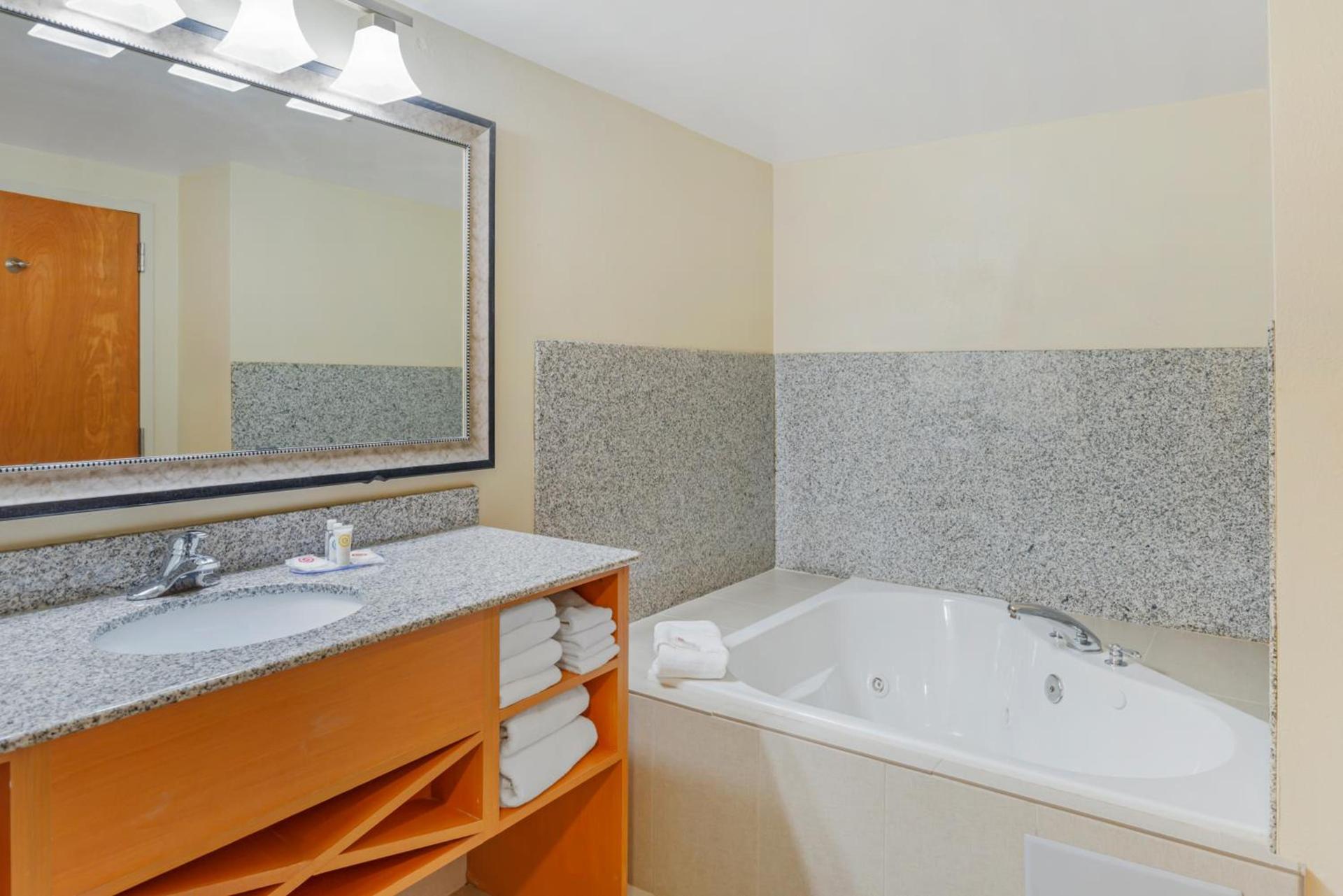 Comfort Suites At Virginia Center Commons photo 78