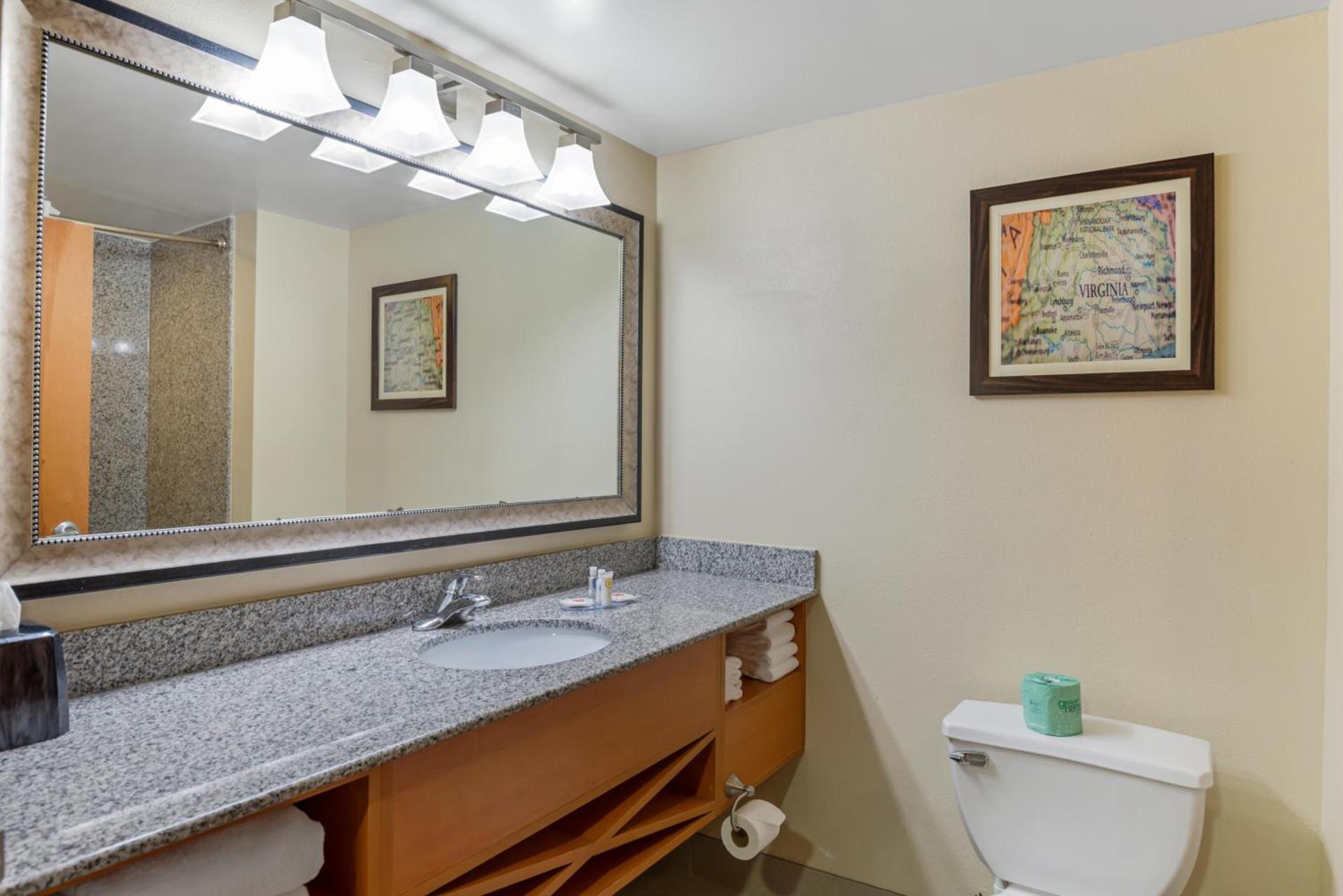 Comfort Suites At Virginia Center Commons photo 81