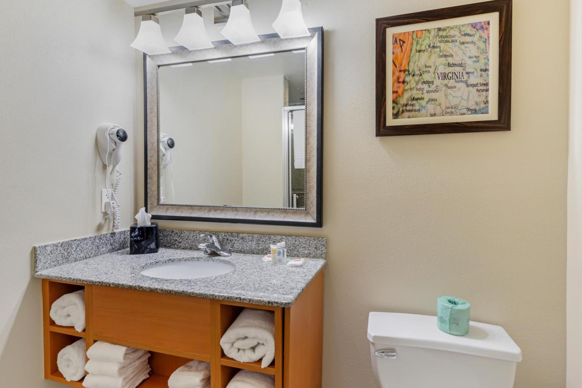 Comfort Suites At Virginia Center Commons photo 63