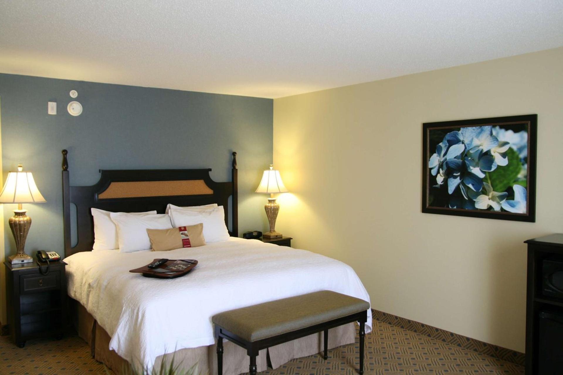 Hampton Inn Murrells Inlet/Myrtle Beach Area photo 12