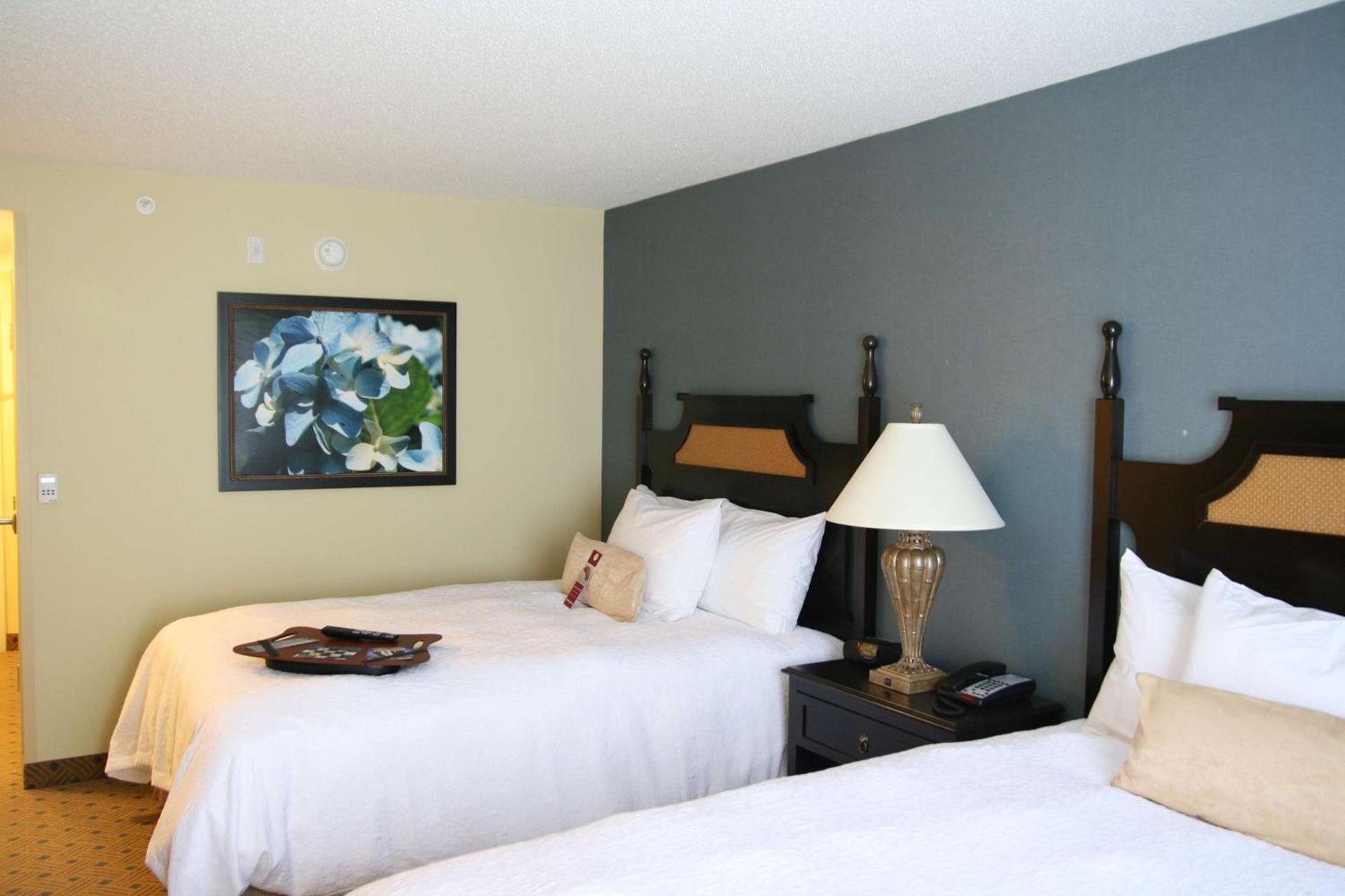 Hampton Inn Murrells Inlet/Myrtle Beach Area photo 15
