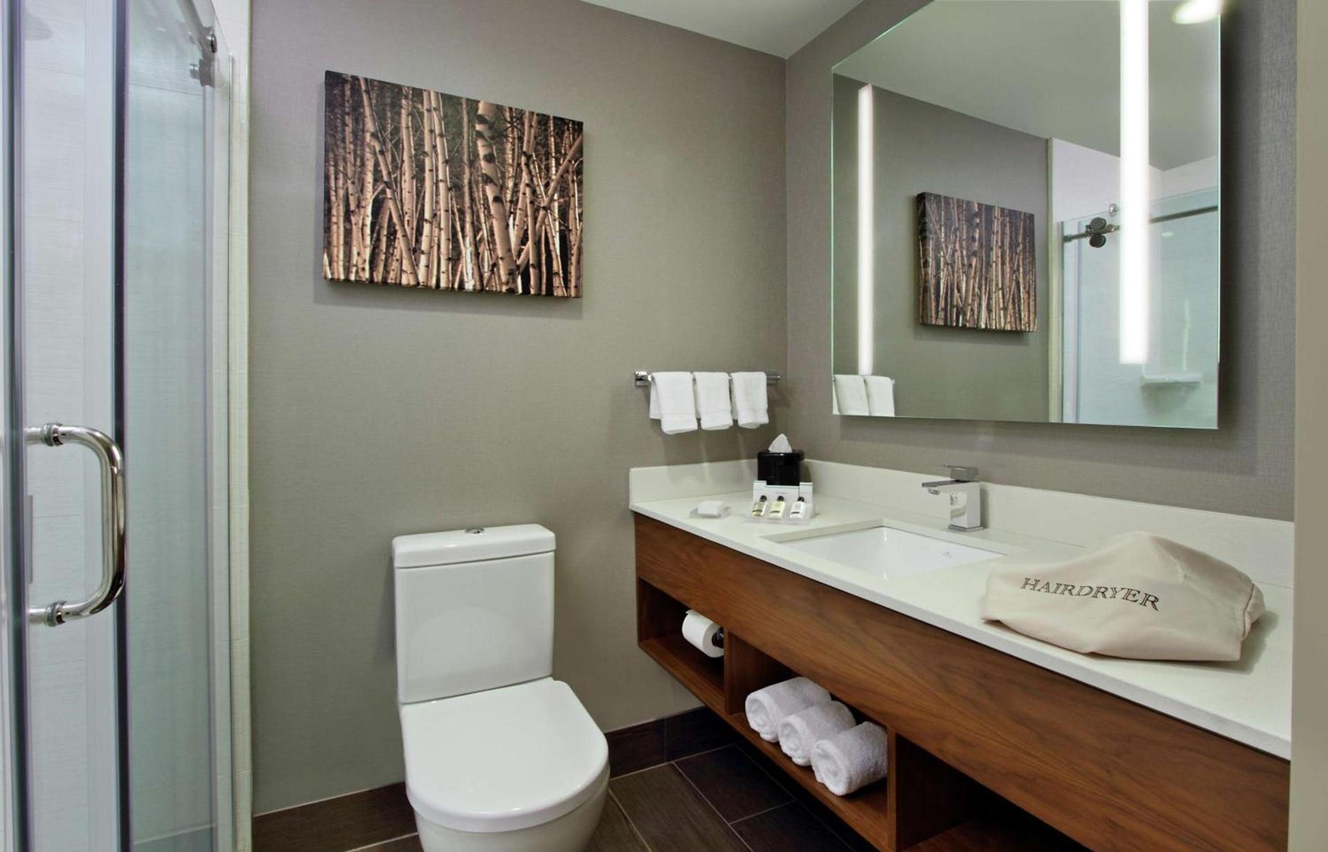 Hilton Garden Inn New York/Midtown Park Avenue photo 22