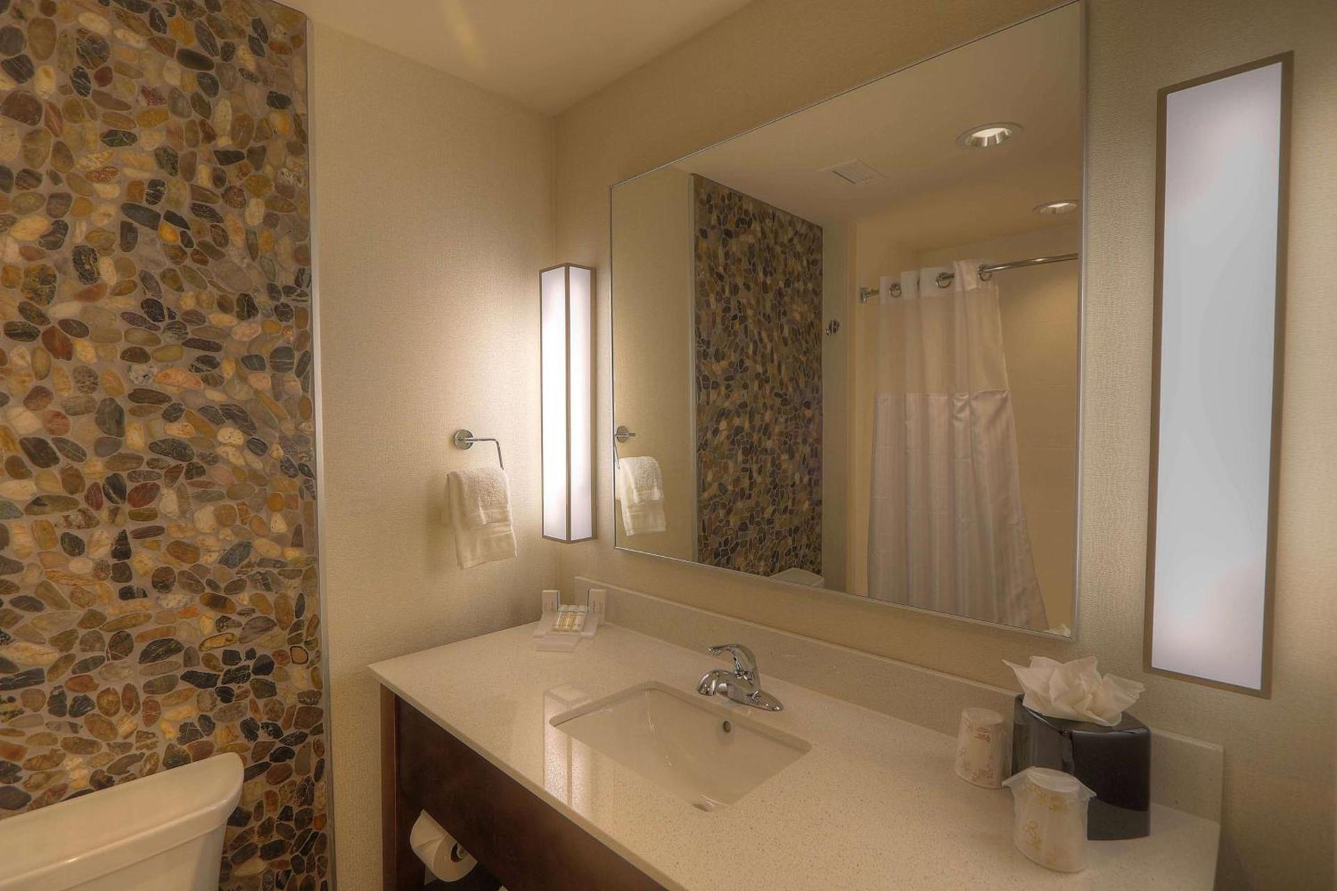 Hilton Garden Inn Pigeon Forge photo 49