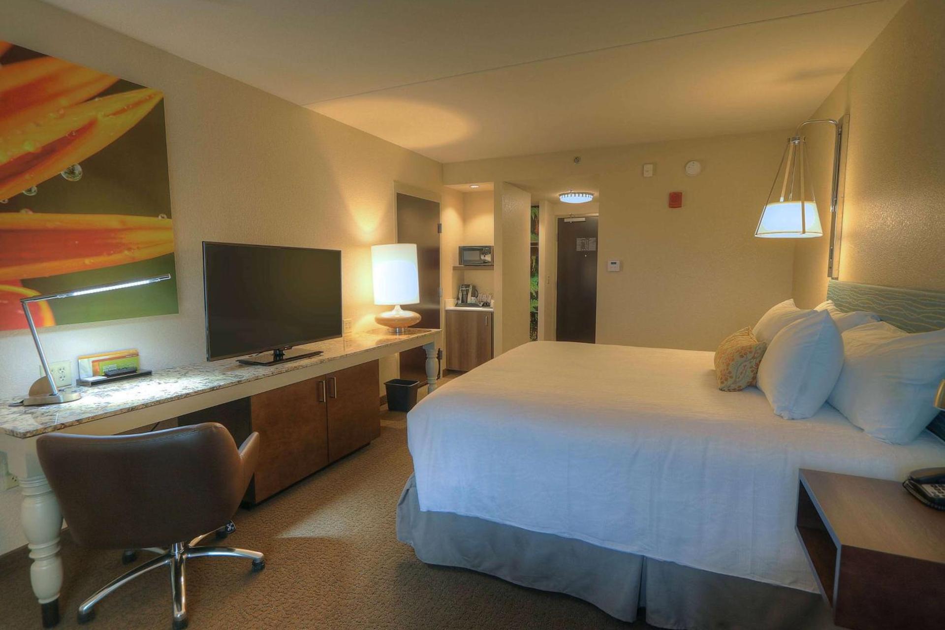 Hilton Garden Inn Pigeon Forge photo 52