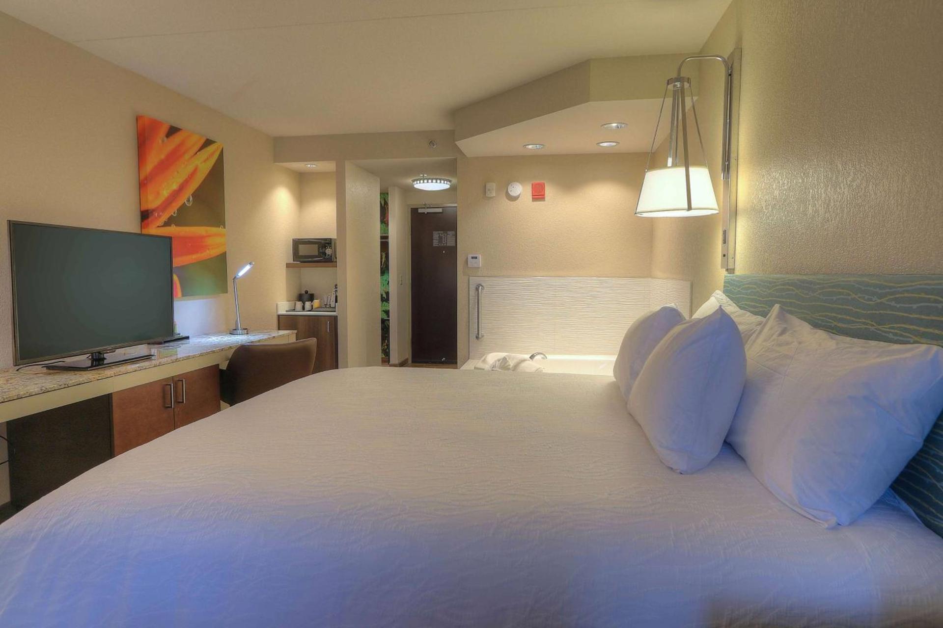 Hilton Garden Inn Pigeon Forge photo 56