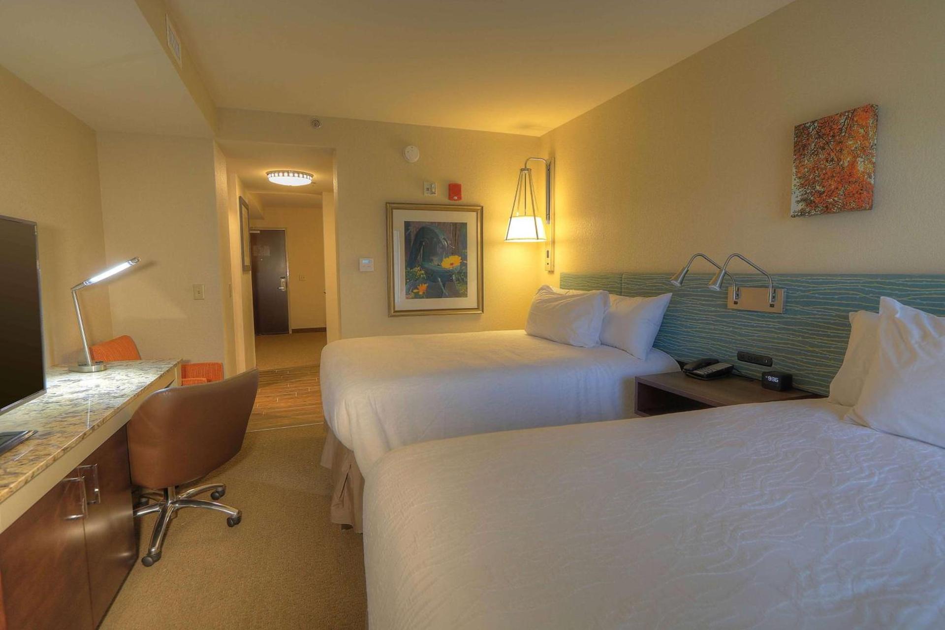 Hilton Garden Inn Pigeon Forge photo 59