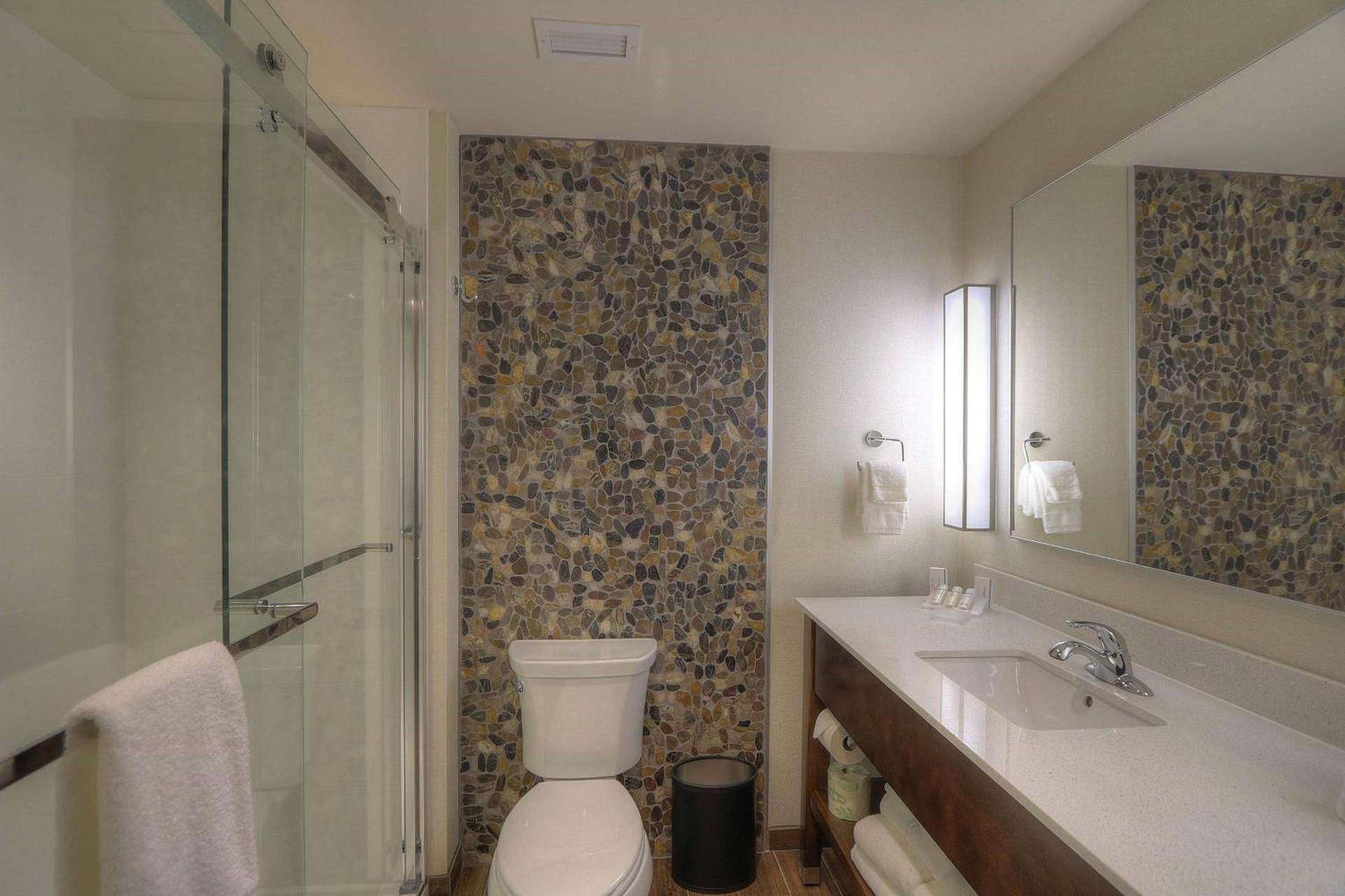 Hilton Garden Inn Pigeon Forge photo 58