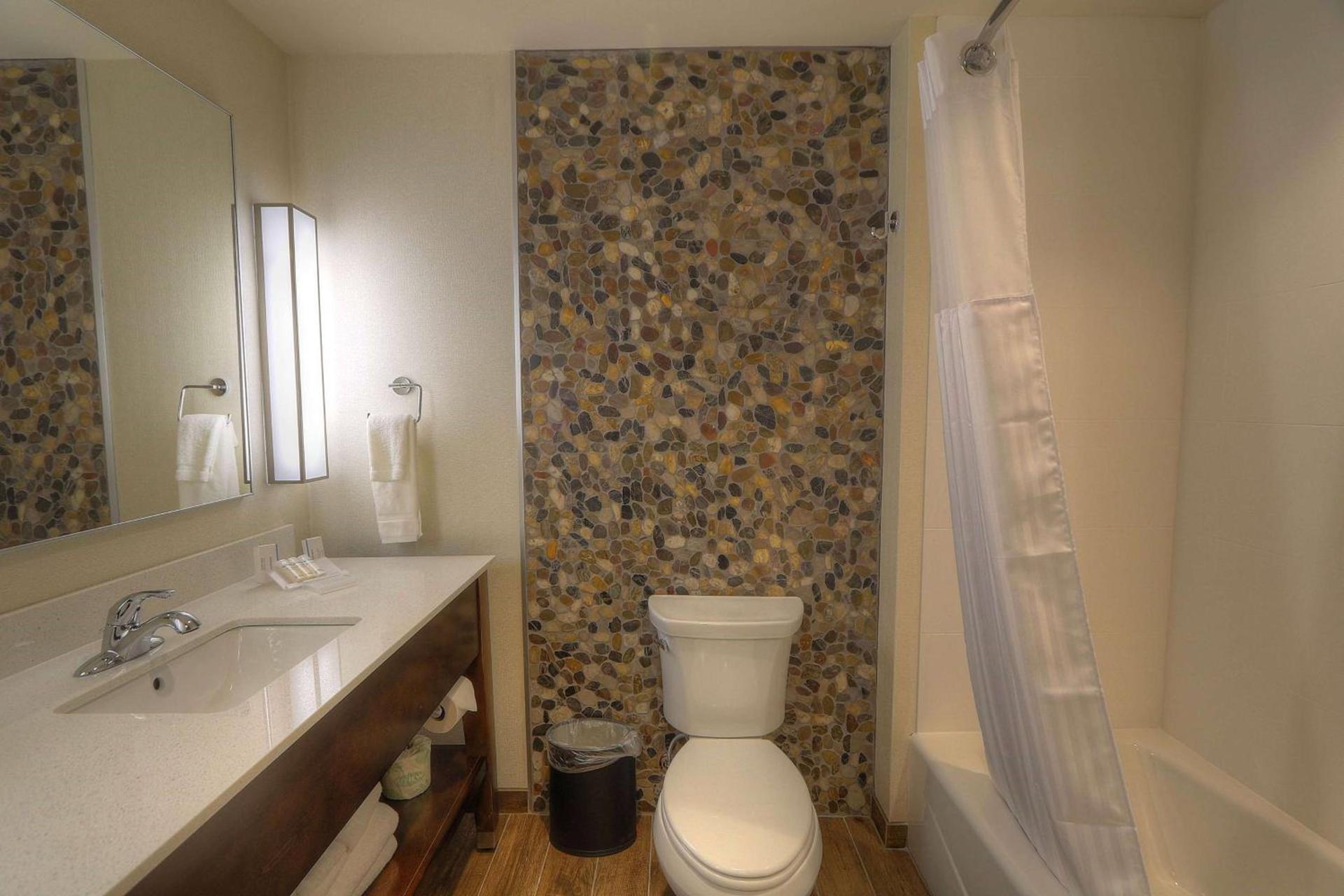 Hilton Garden Inn Pigeon Forge photo 67