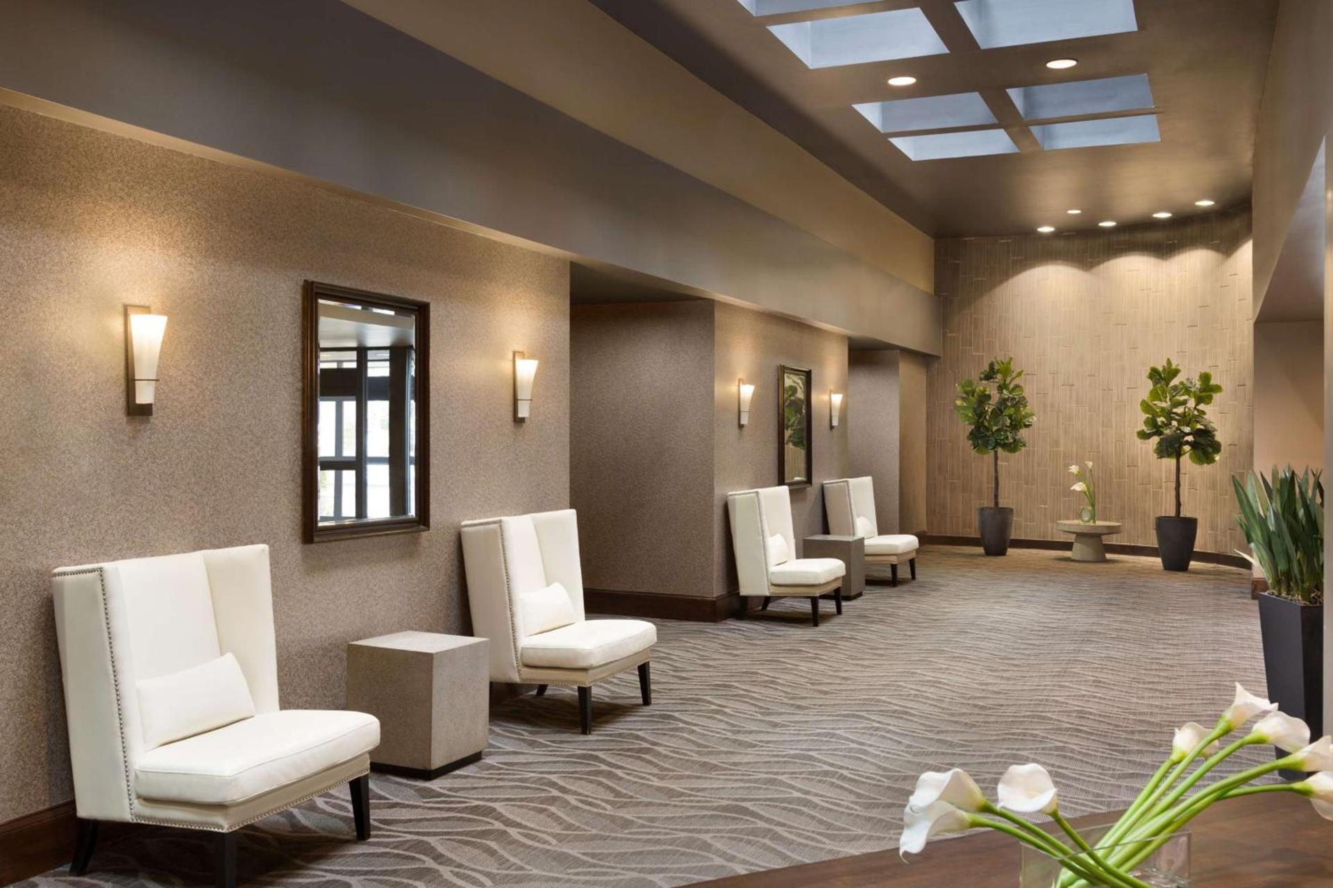 Hilton Greenville photo 11