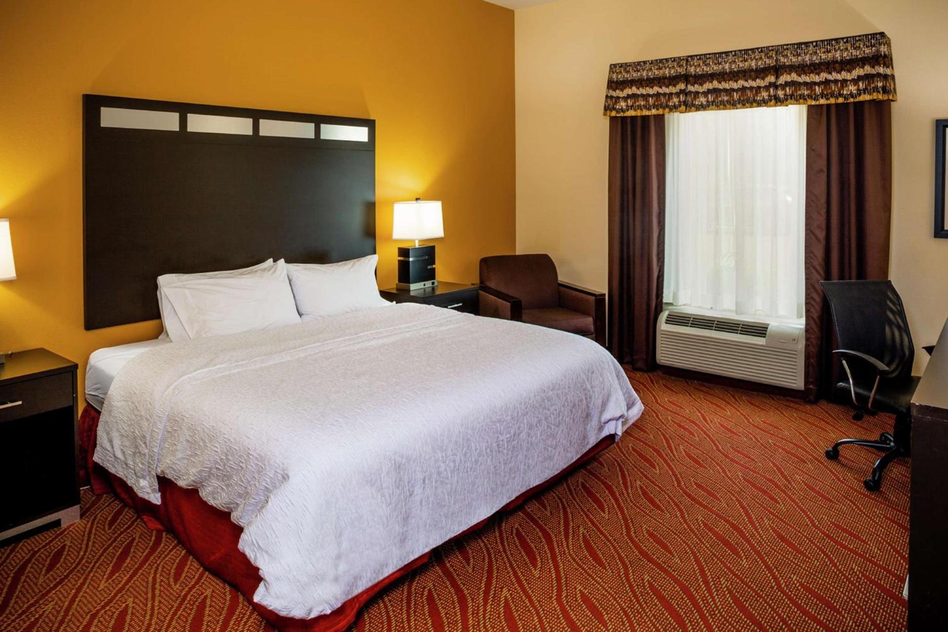 Hampton Inn Limerick photo 32
