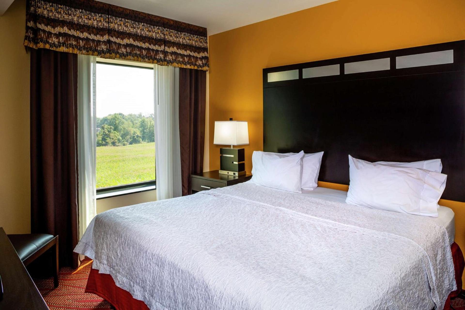Hampton Inn Limerick photo 33