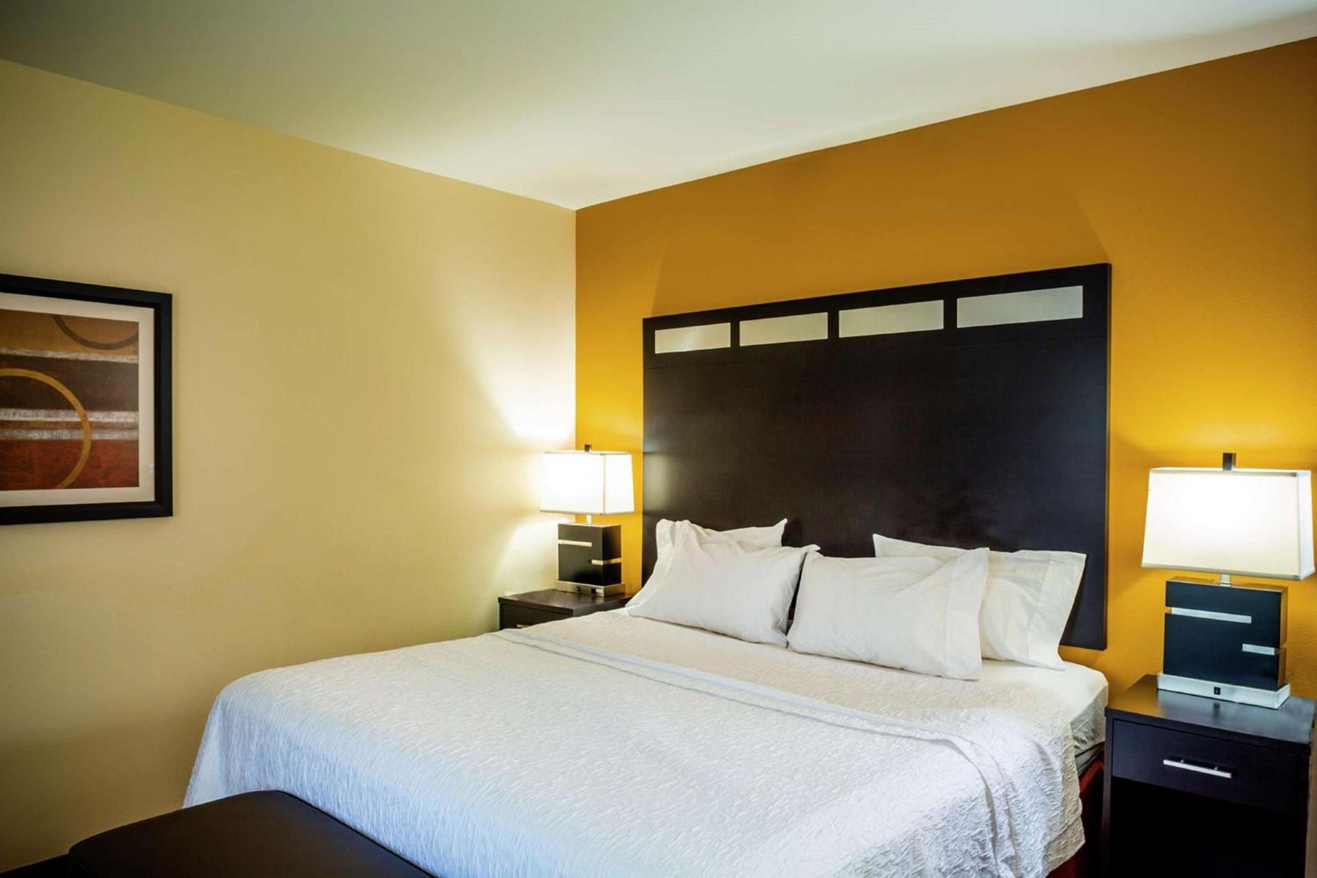 Hampton Inn Limerick photo 43
