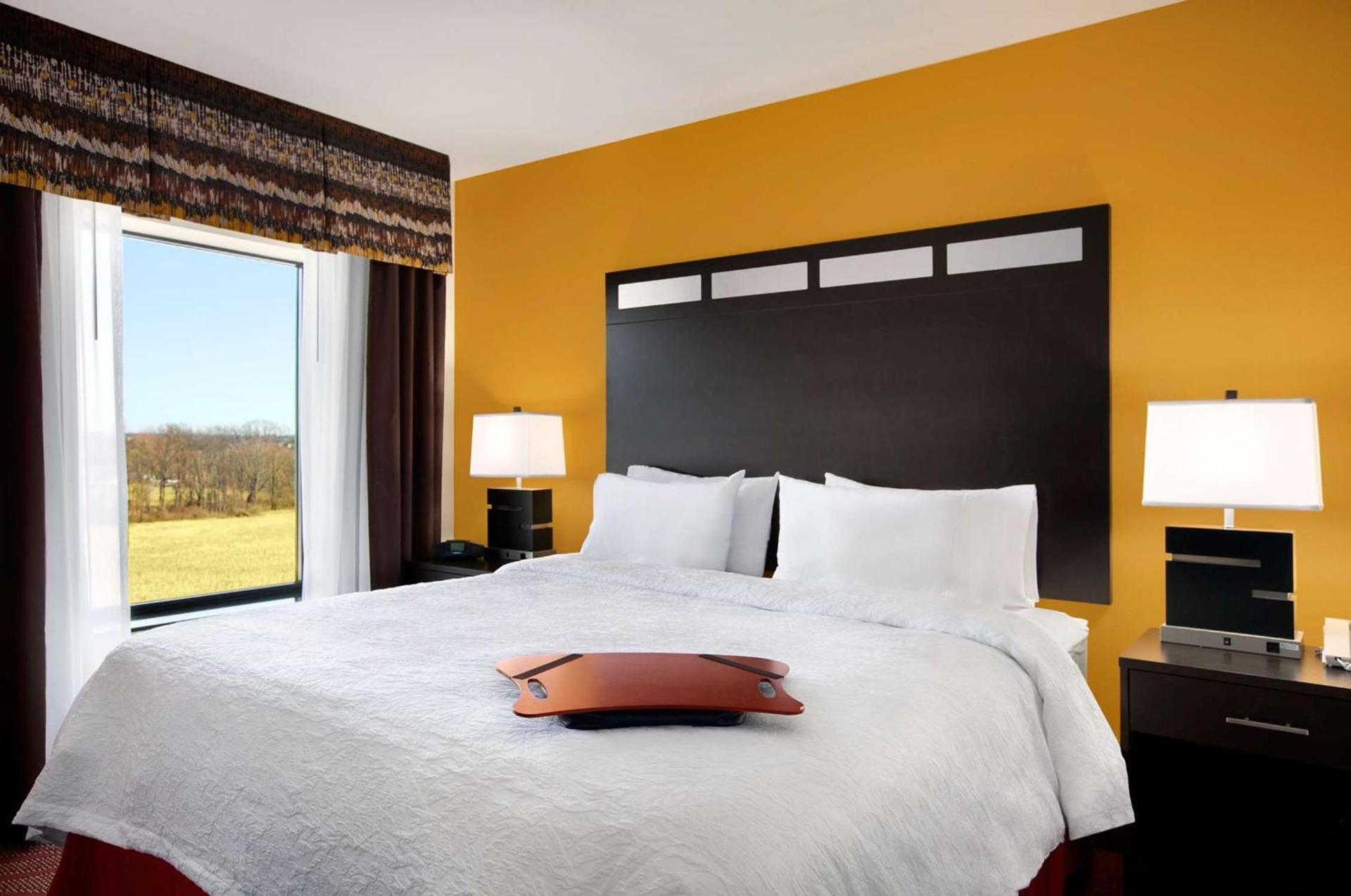 Hampton Inn Limerick photo 50