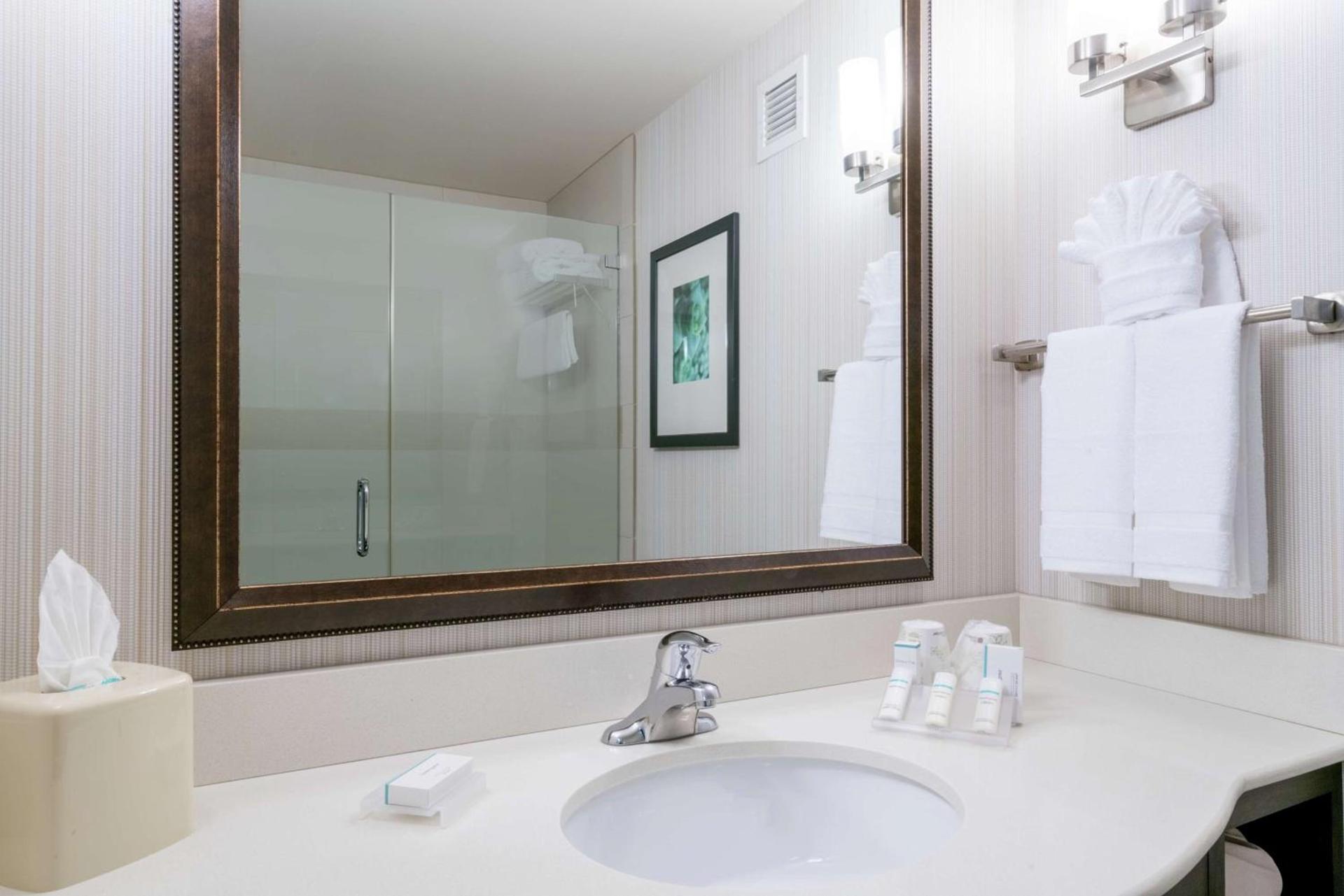 Hilton Garden Inn Valley Forge/Oaks photo 41