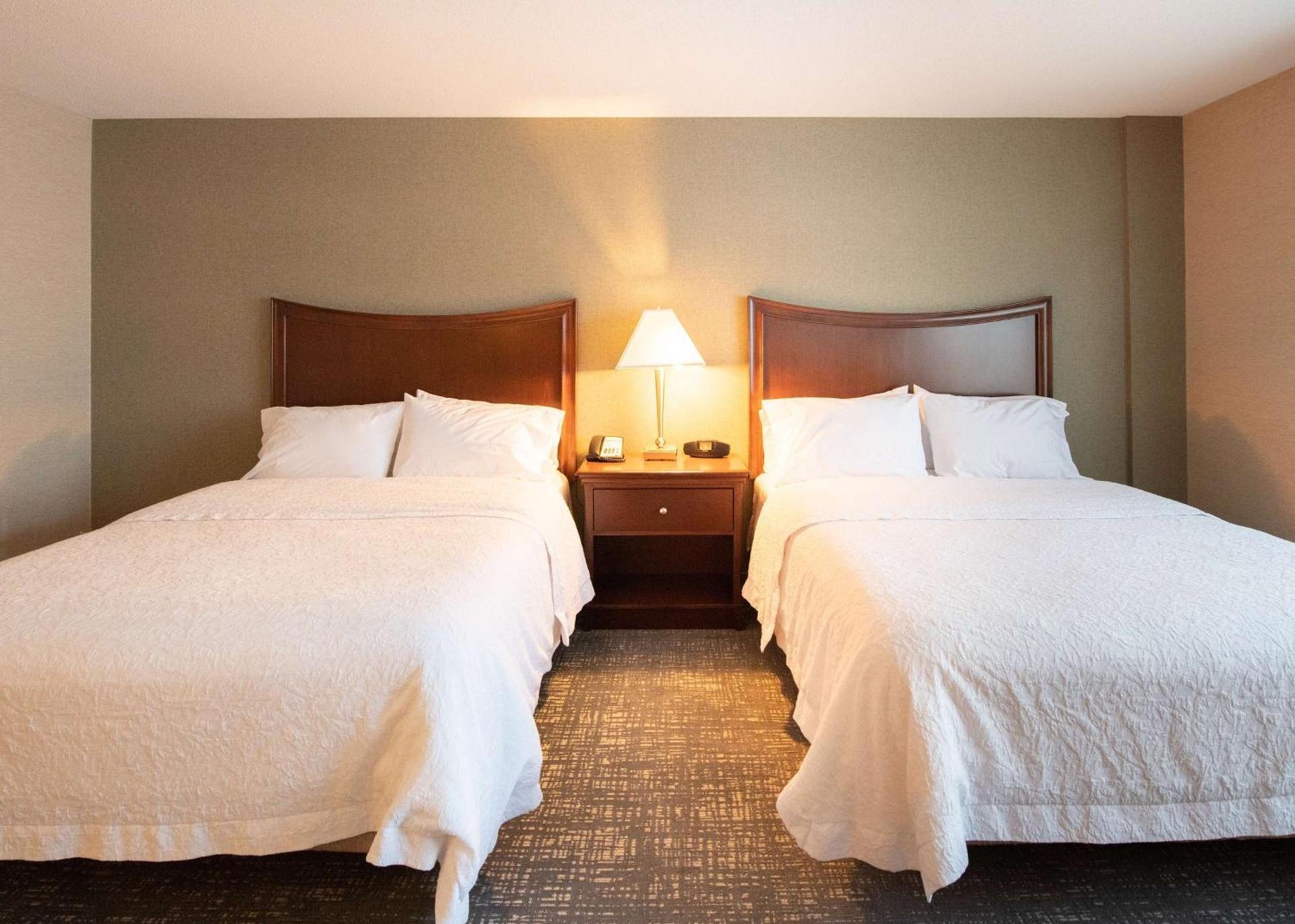 Hampton Inn Presque Isle photo 17