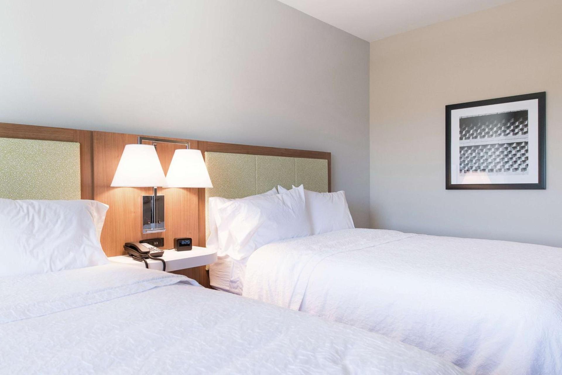Hampton Inn & Suites Walterboro photo 18