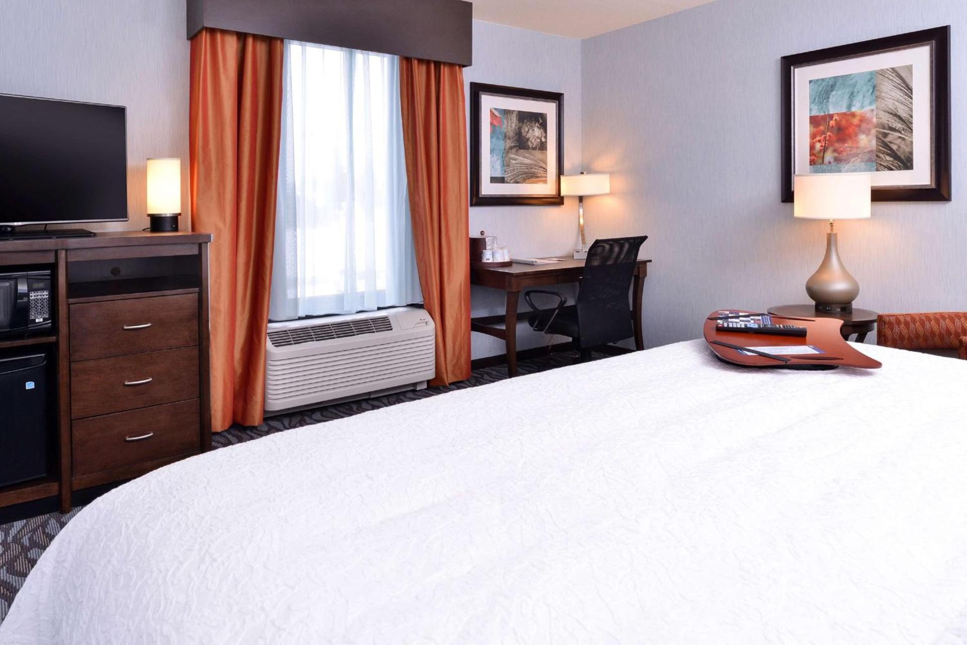 Hampton Inn Rome photo 12