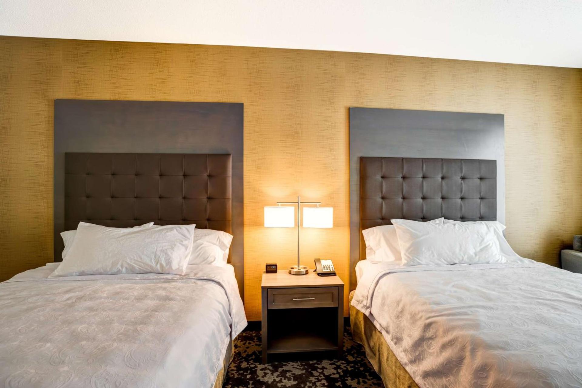 Homewood Suites by Hilton Christiansburg photo 17