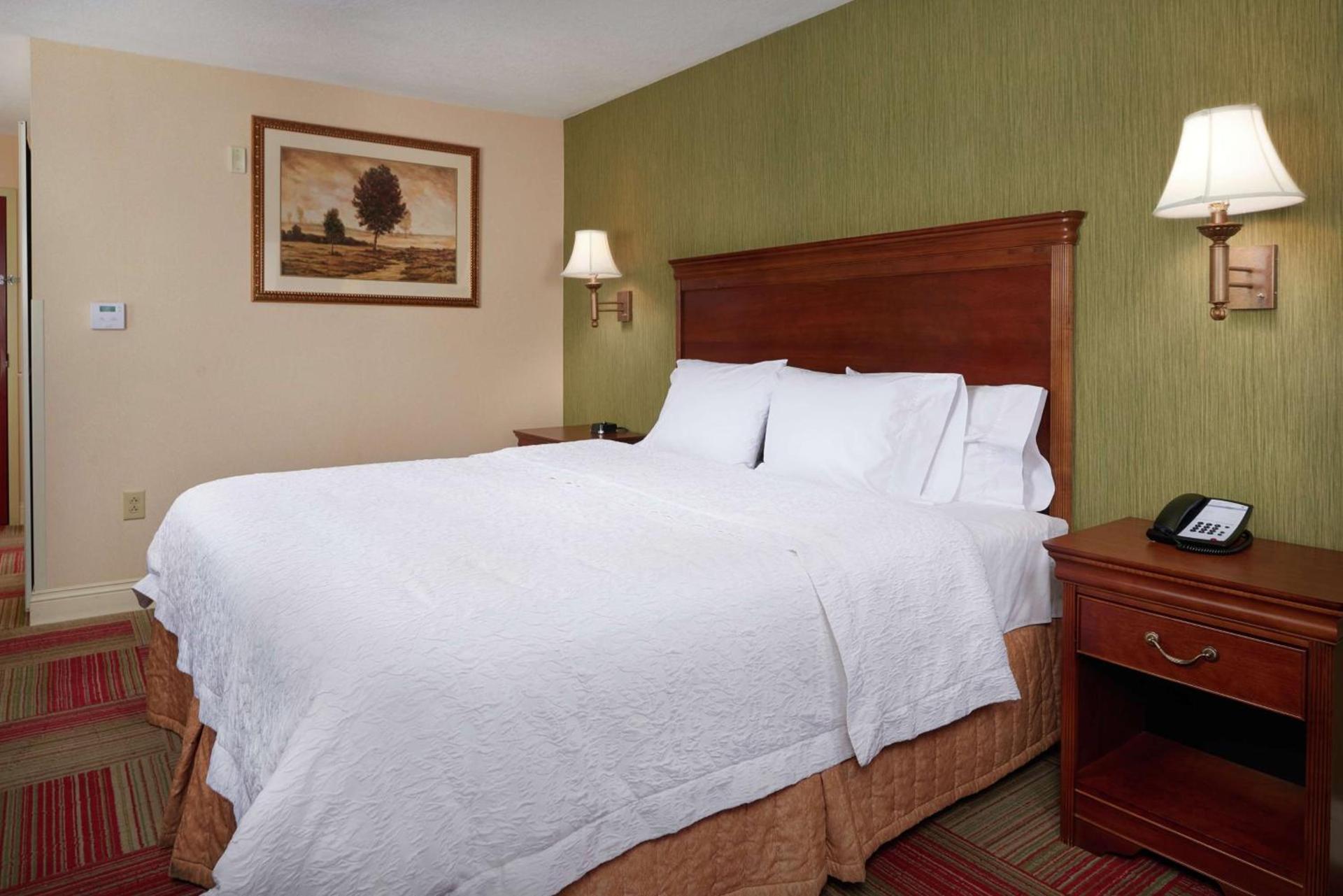 Hampton Inn & Suites Roswell photo 26