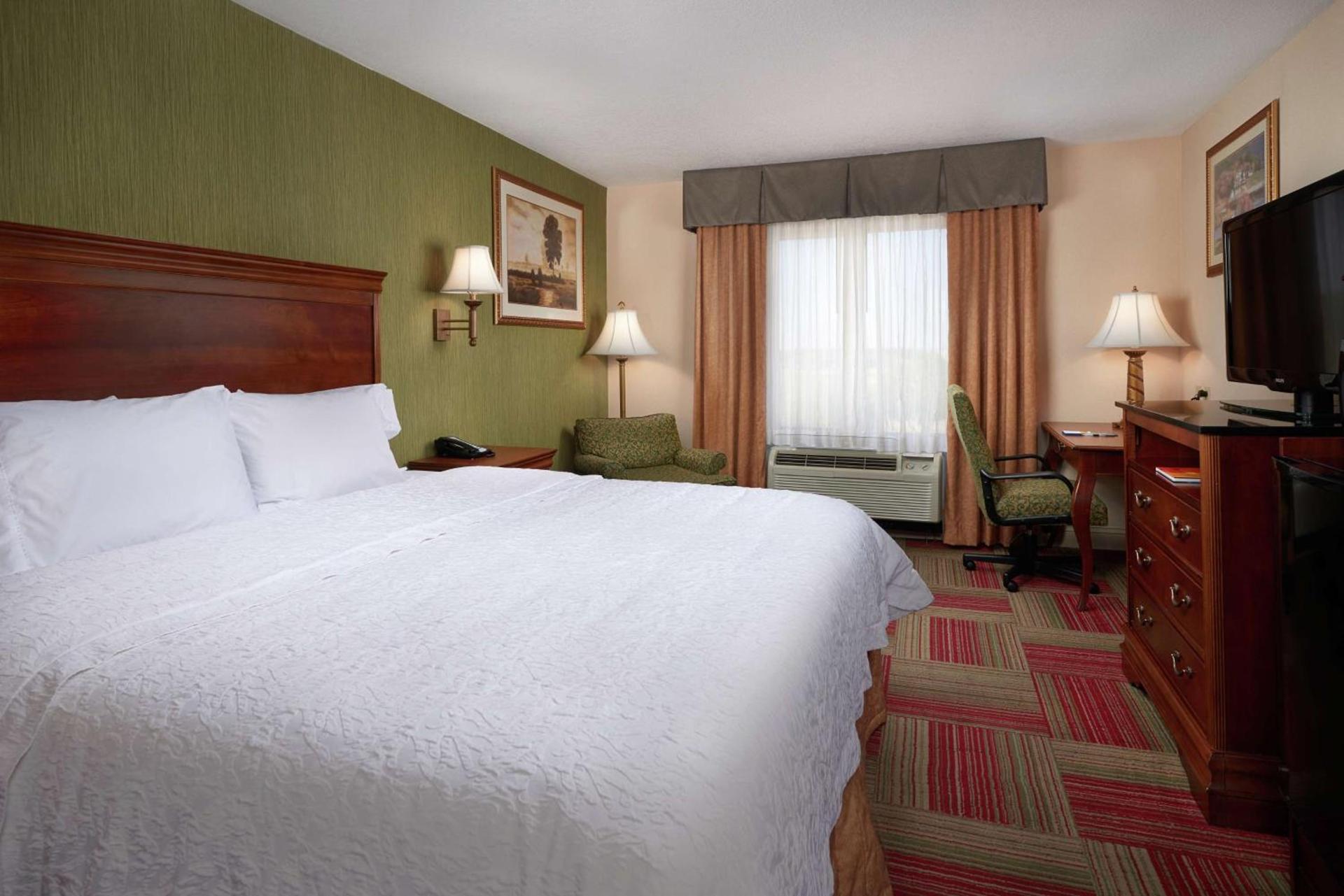 Hampton Inn & Suites Roswell photo 27