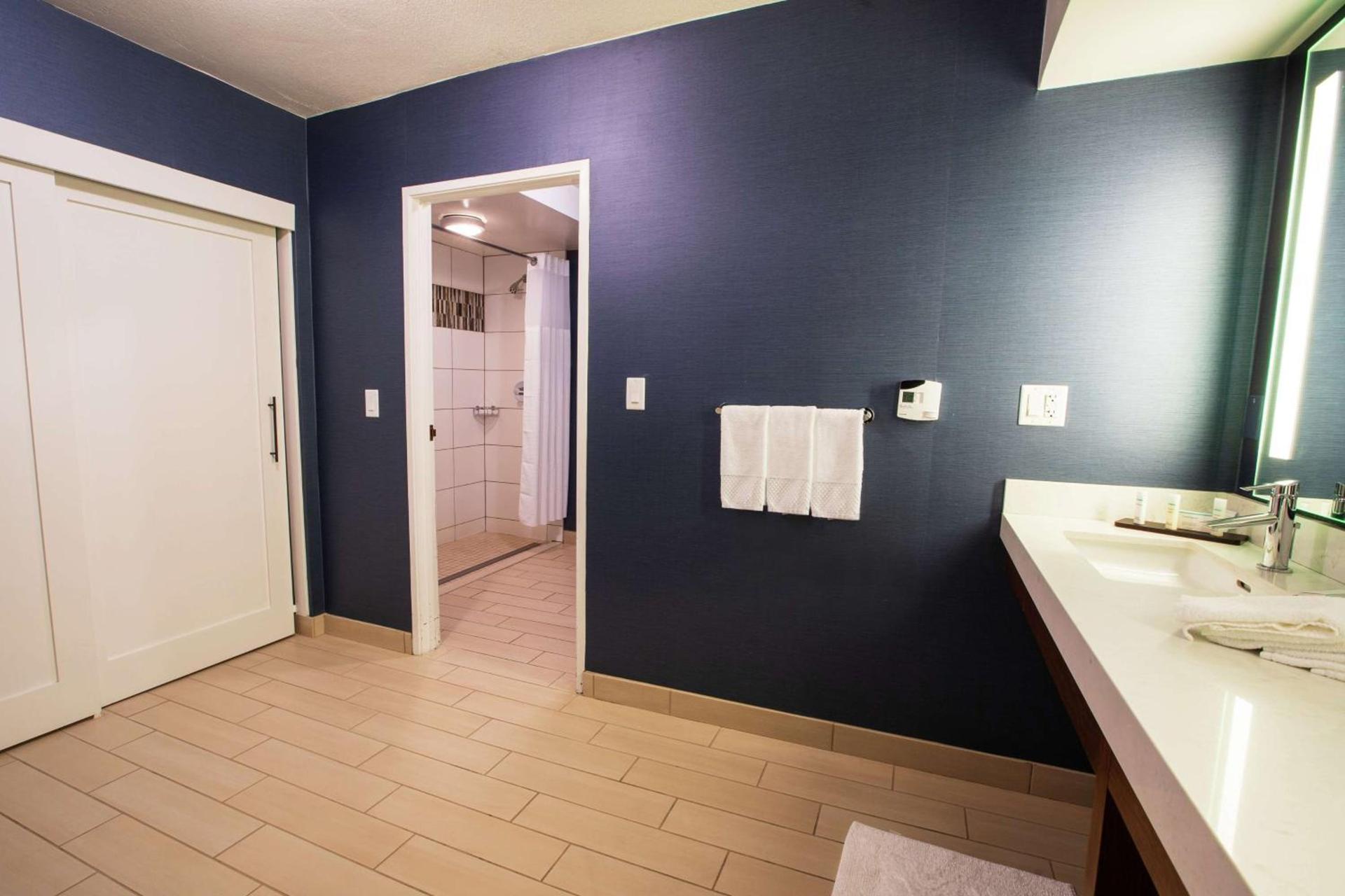 Embassy Suites by Hilton Scottsdale Resort photo 16
