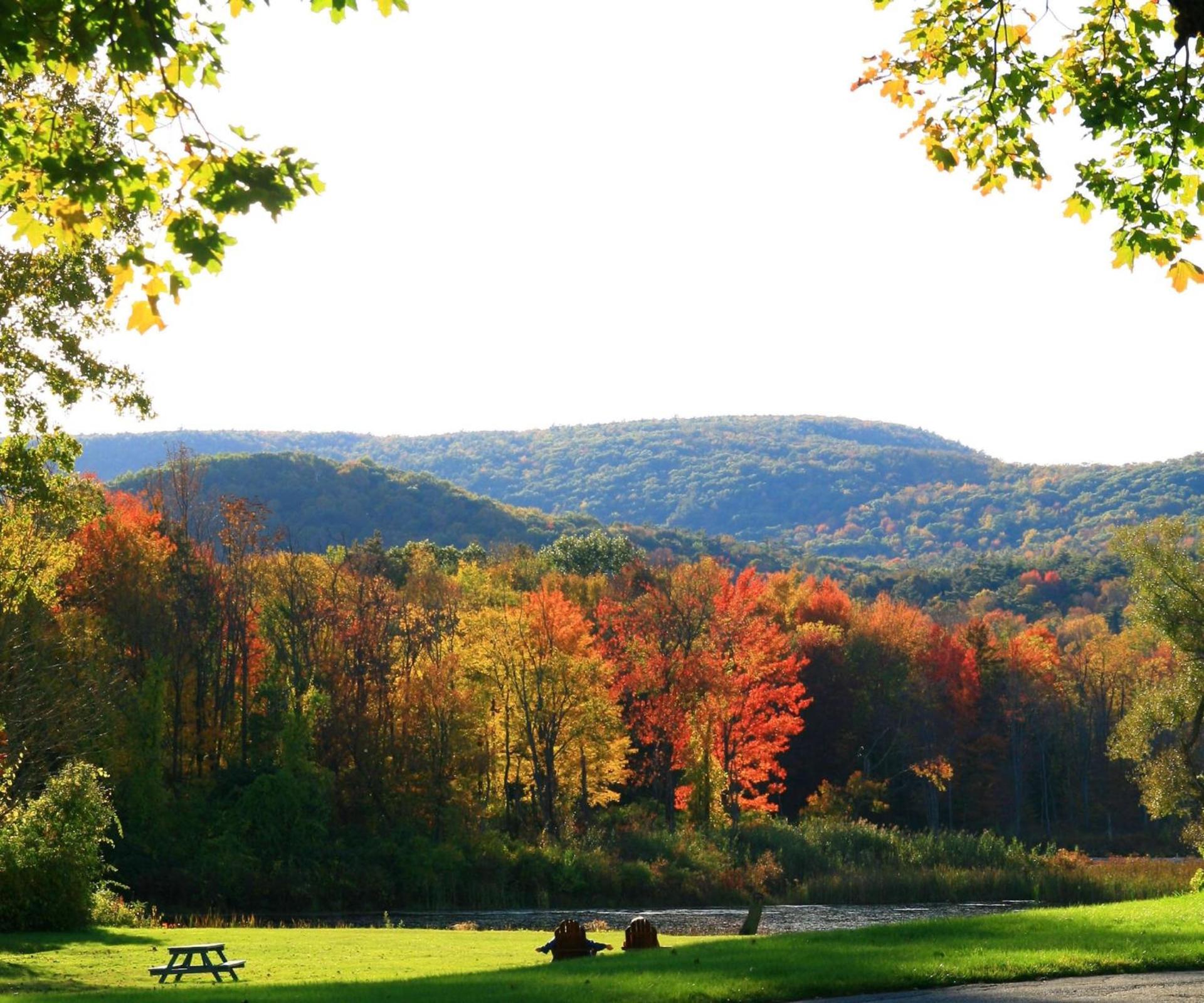 Hampton Inn & Suites Berkshires-Lenox photo 4