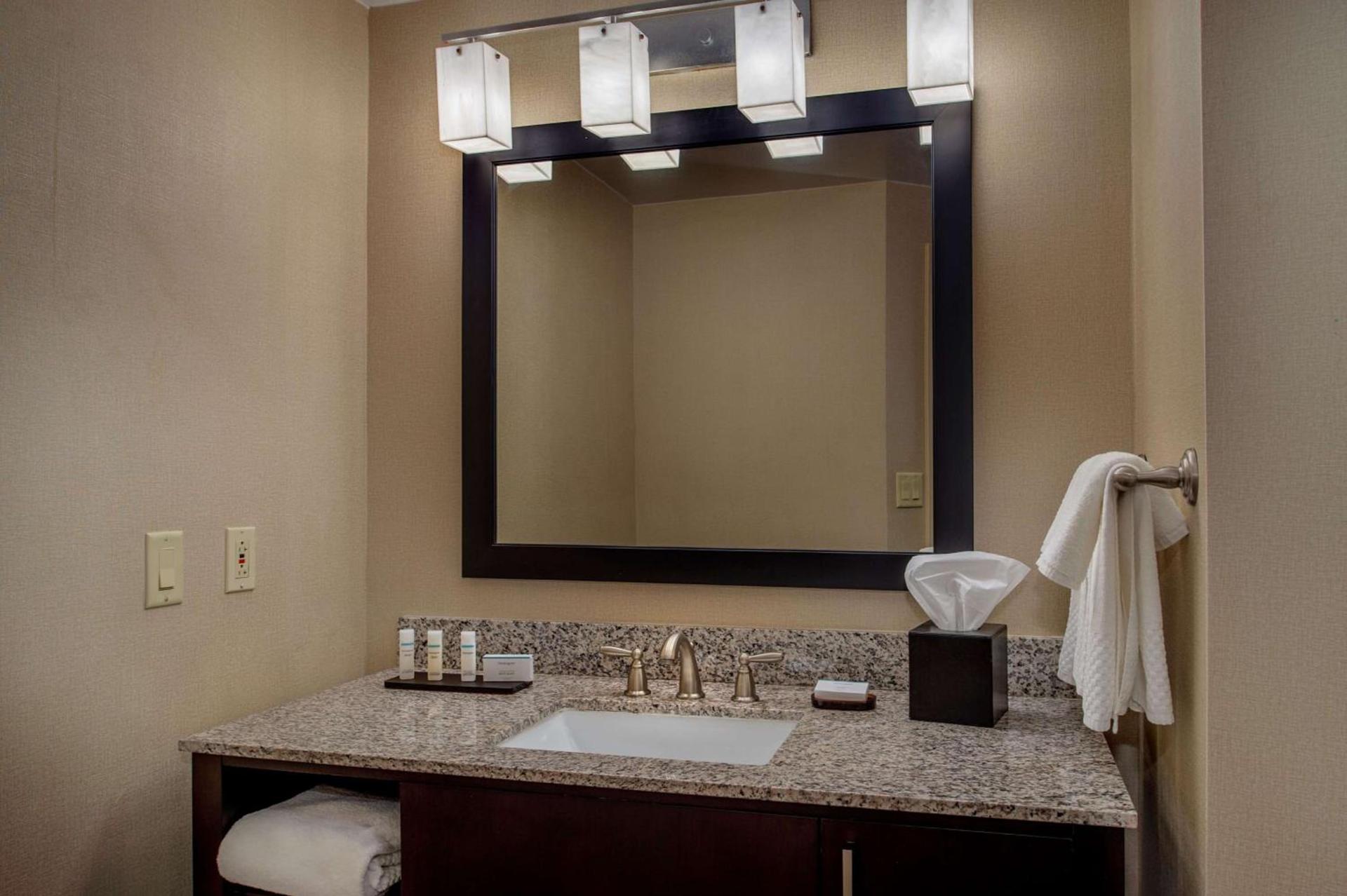 Embassy Suites by Hilton St Louis Airport photo 15