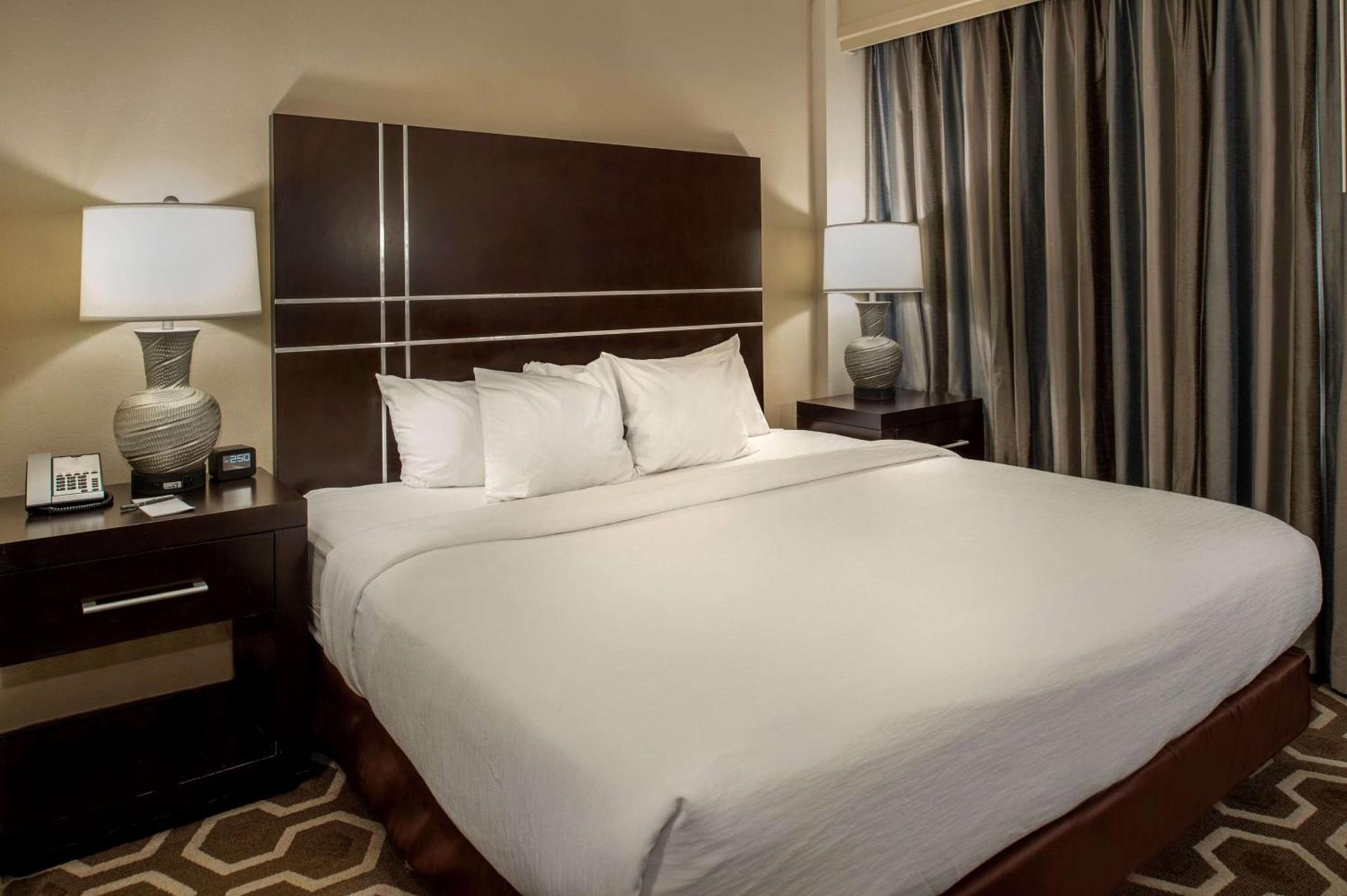 Embassy Suites by Hilton St Louis Airport photo 18