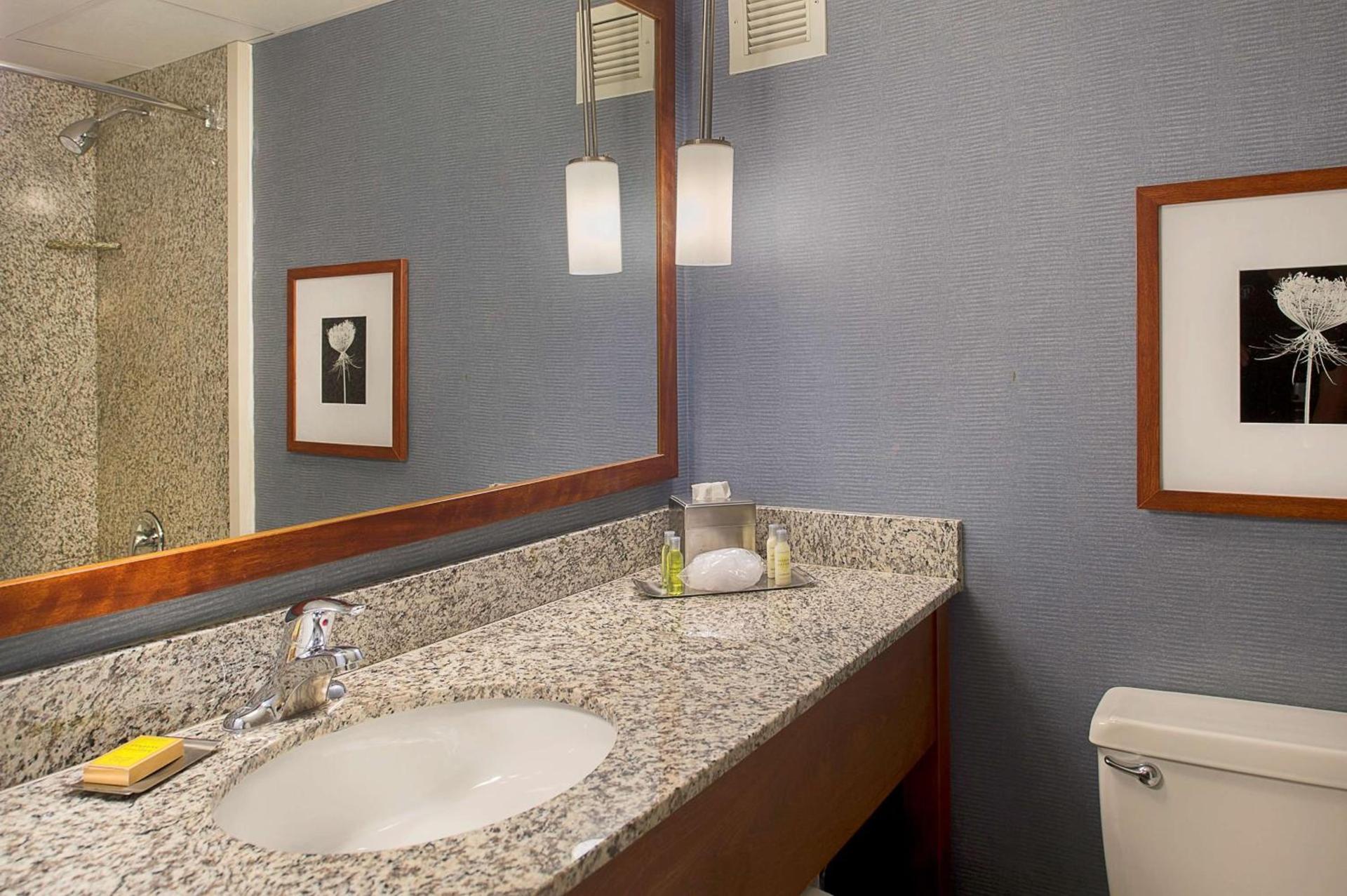 DoubleTree by Hilton St. Louis at Westport photo 27