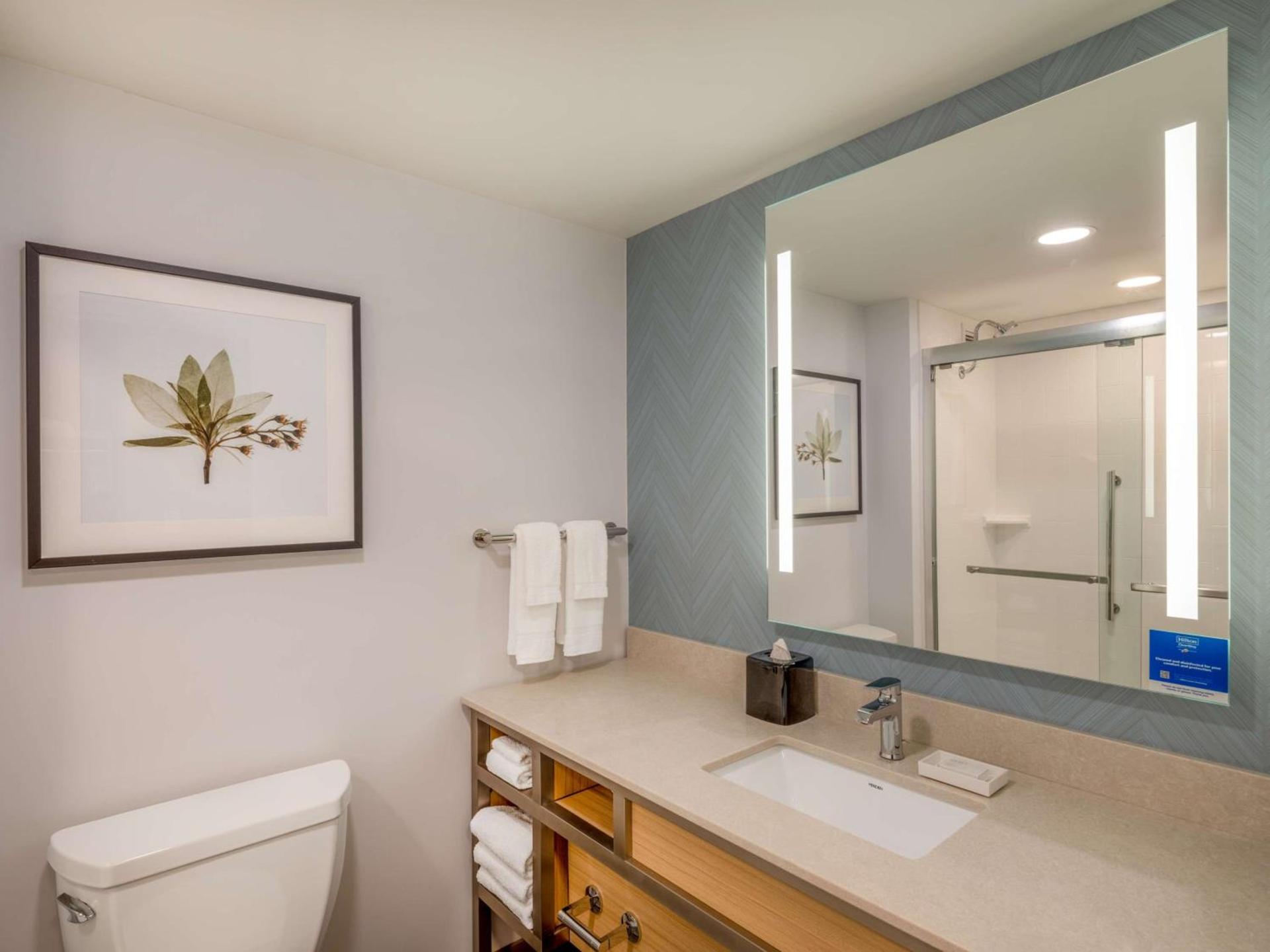 Hilton Garden Inn Toledo Downtown photo 37