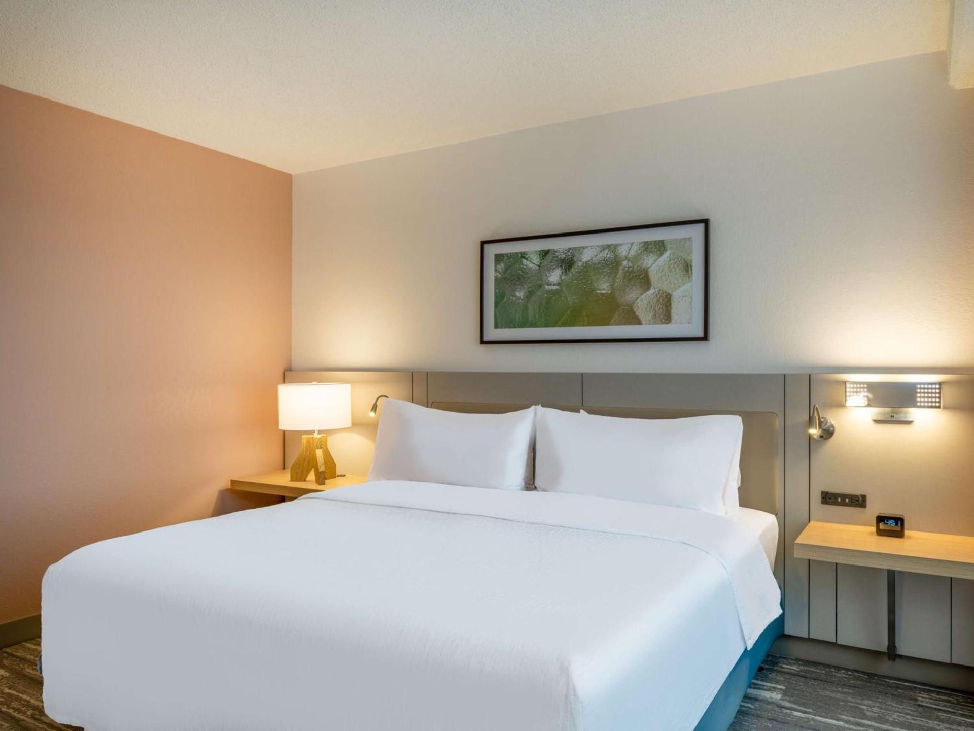 Hilton Garden Inn Toledo Downtown photo 45