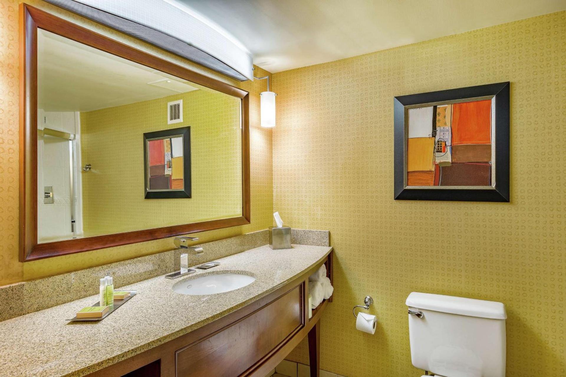 DoubleTree by Hilton Johnson City photo 13