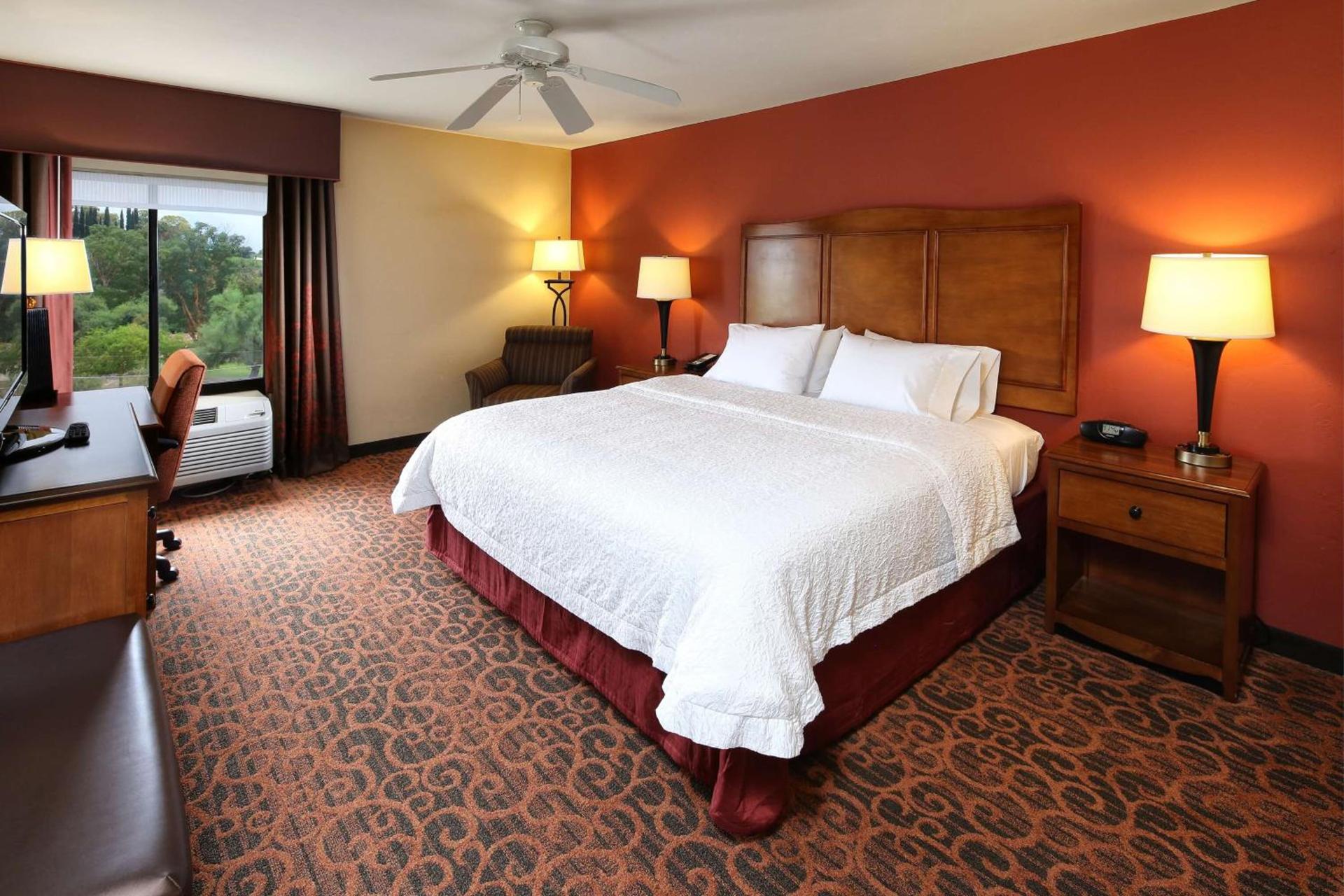 Hampton Inn & Suites Tucson Mall photo 28