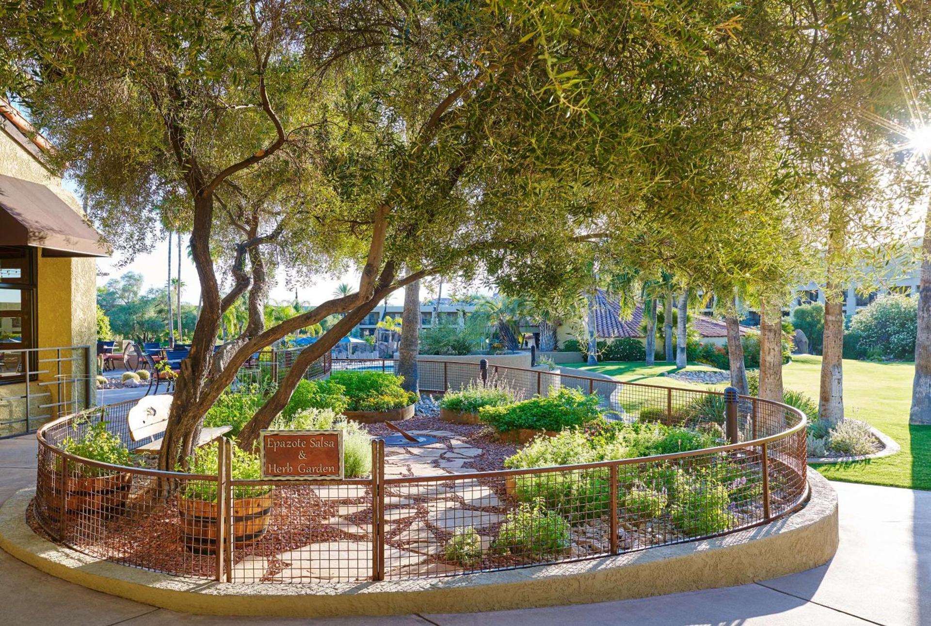 El Conquistador Tucson, A Hilton Resort photo 17