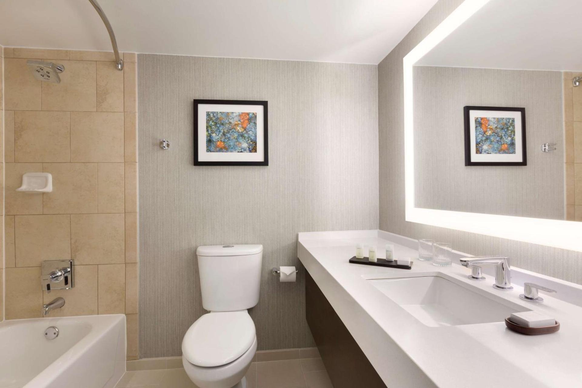 Embassy Suites by Hilton Chicago Lombard photo 23