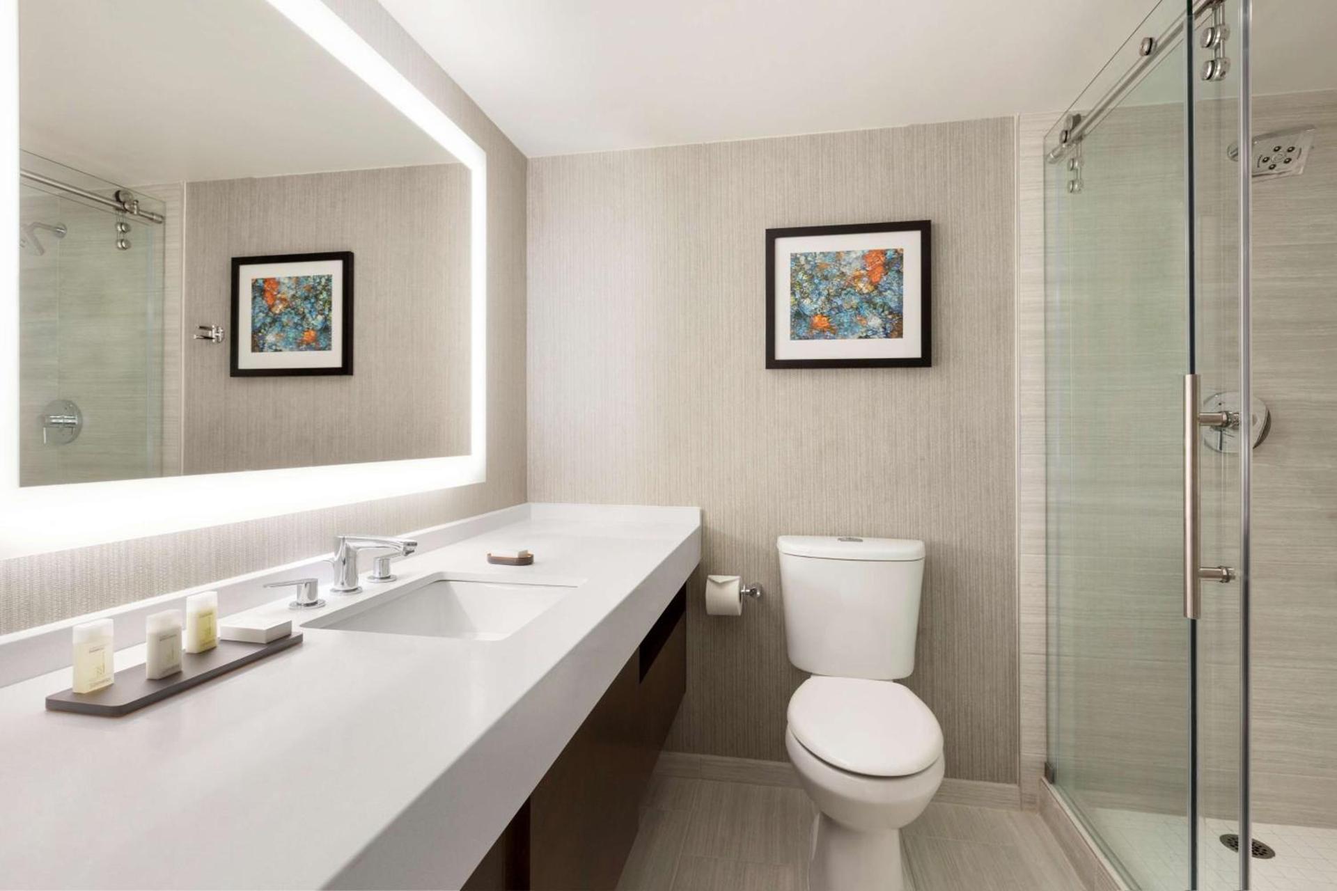 Embassy Suites by Hilton Chicago Lombard photo 31