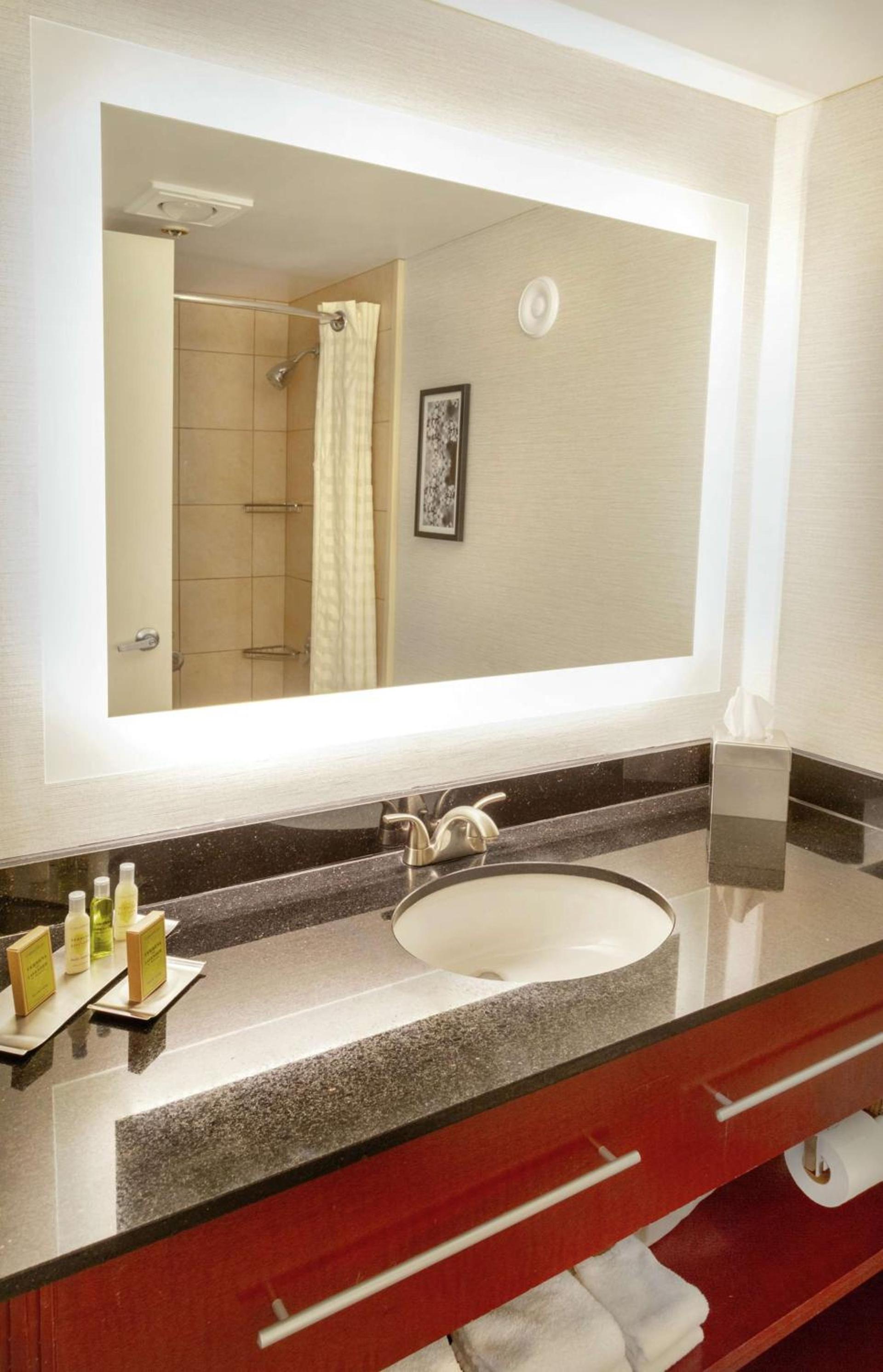 DoubleTree by Hilton Charlottesville photo 16