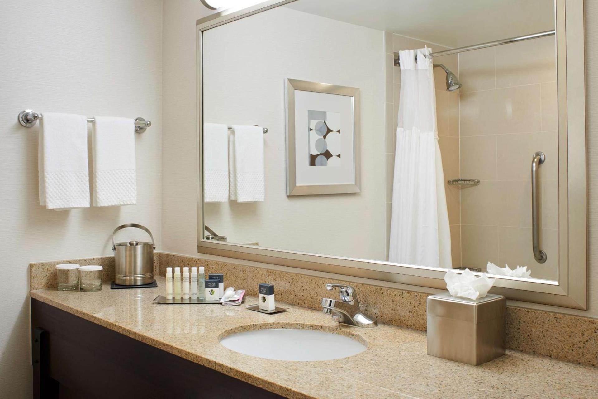 DoubleTree by Hilton Dearborn photo 21